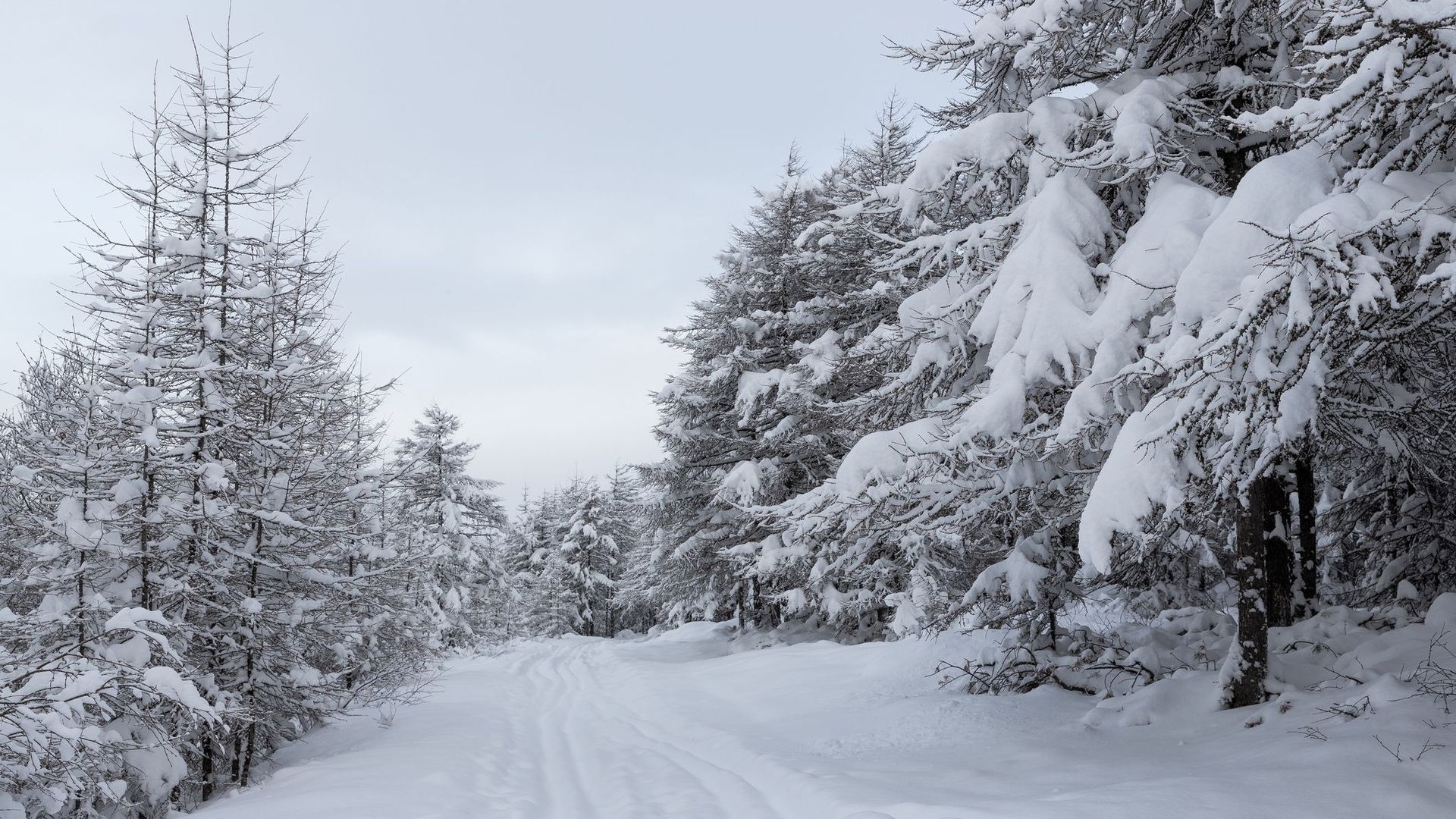 La neige tombe plus régulièrement en Ardenne