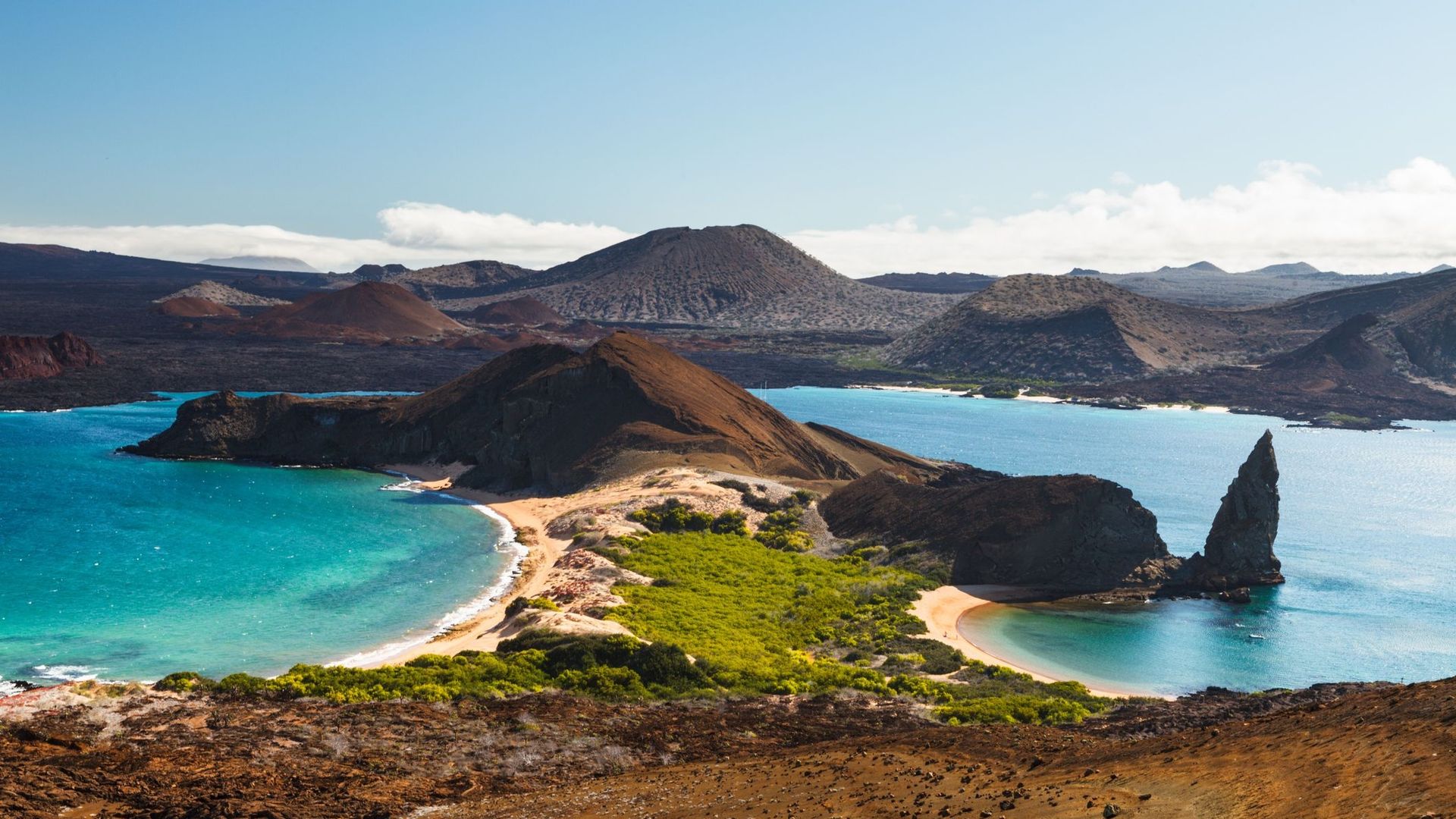 S'adapter pour survivre : science et tourisme sur les pas de Darwin aux Galapagos.