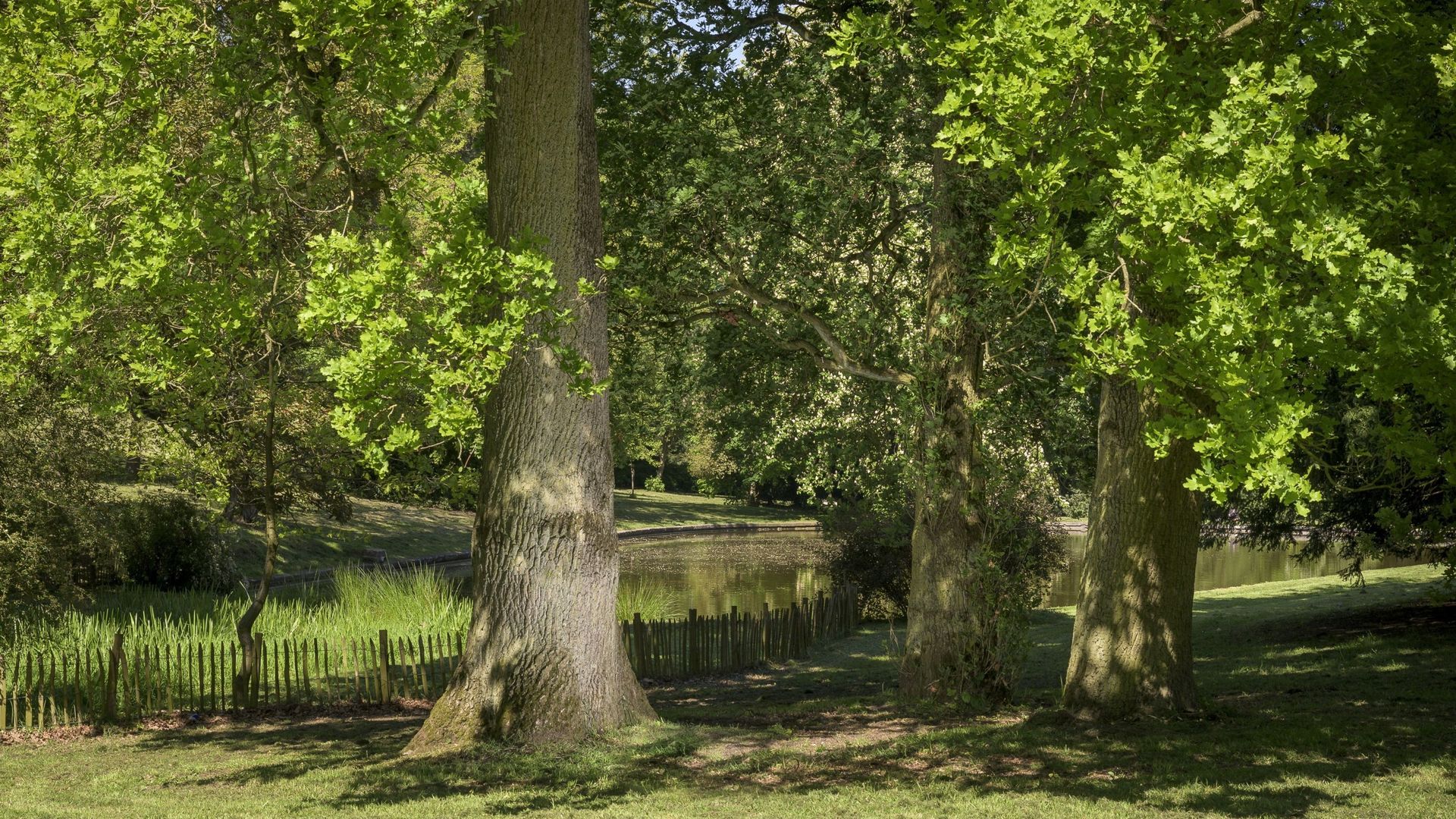 Parc Bivort (Hainaut).