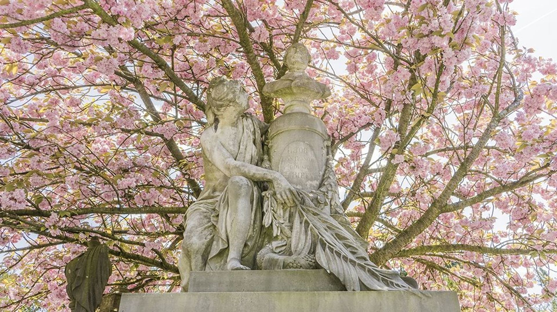 "Le printemps des cimetières" au cimetière de Laeken