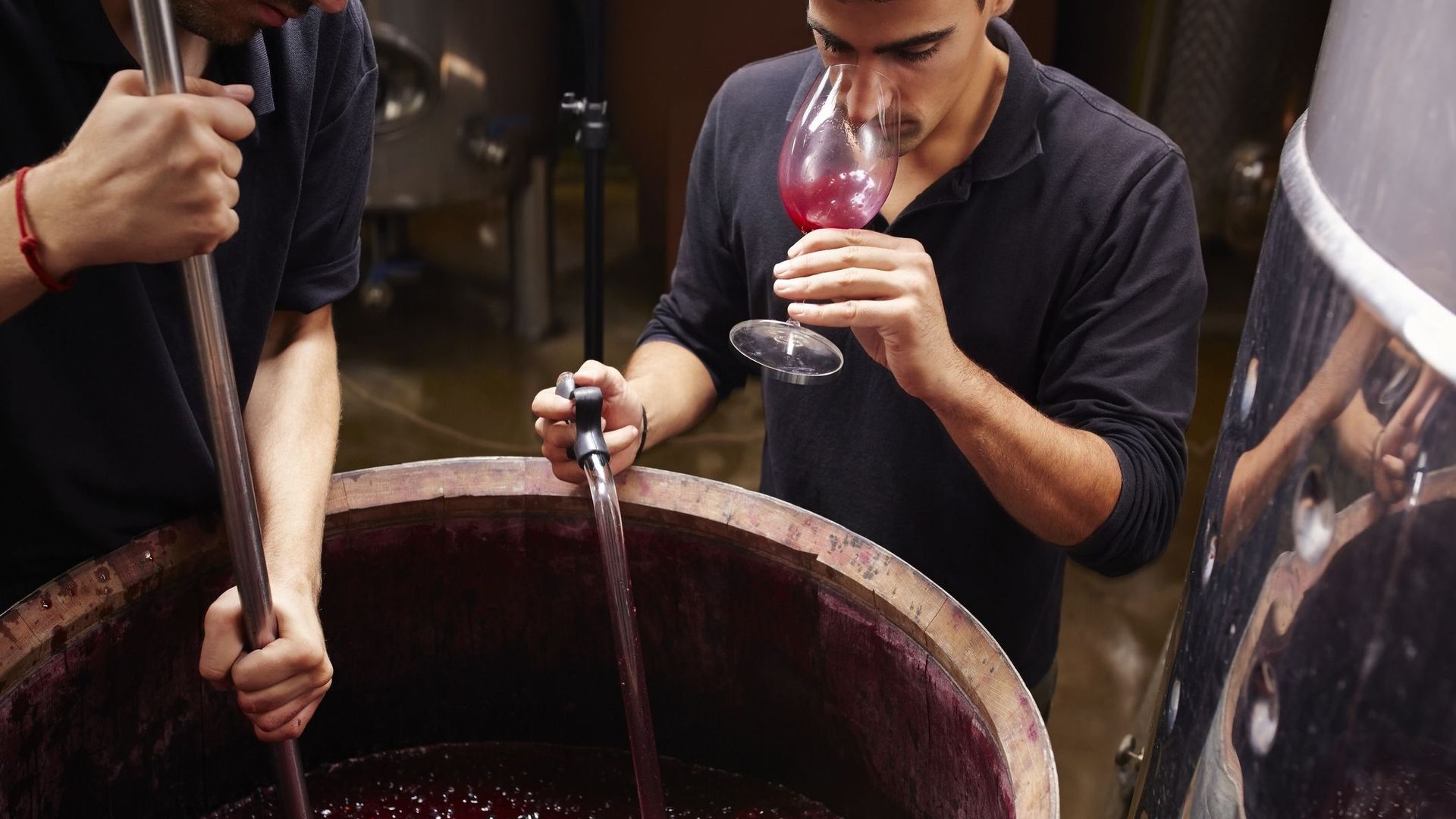La viticulture alternative séduit les amateurs.