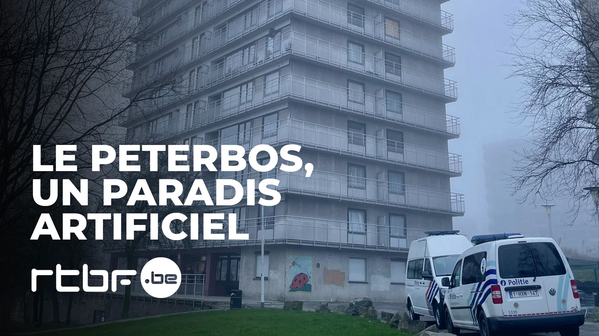 Peterbos : Immersion Au Cœur De Ce Quartier Bruxellois Assiégé Par La ...