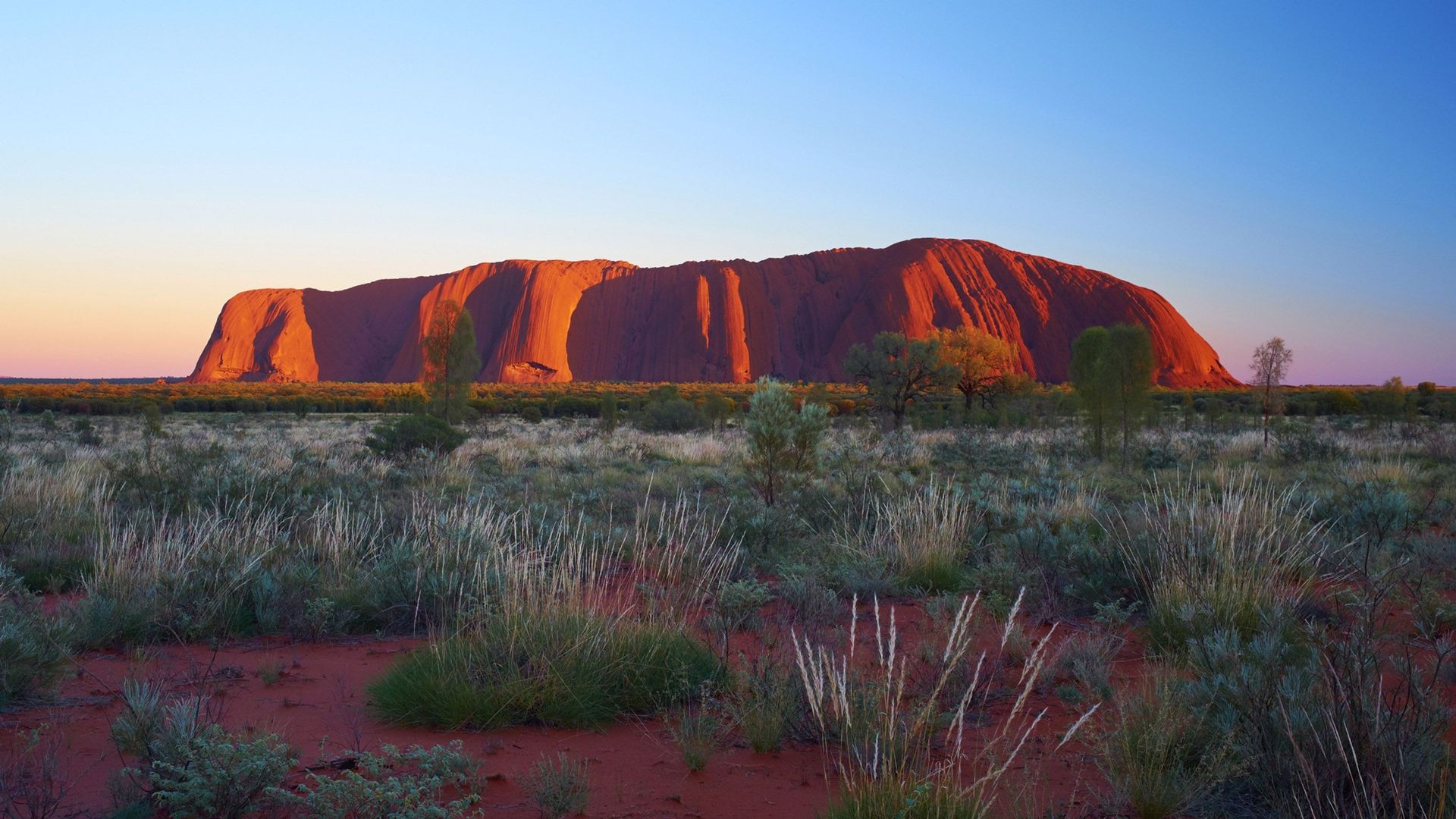 Des centaines de touristes ont afflué une dernière fois vendredi sur le site d'Uluru, célèbre formation rocheuse au coeur du désert australien, à la veille de l'interdiction de son ascension.
