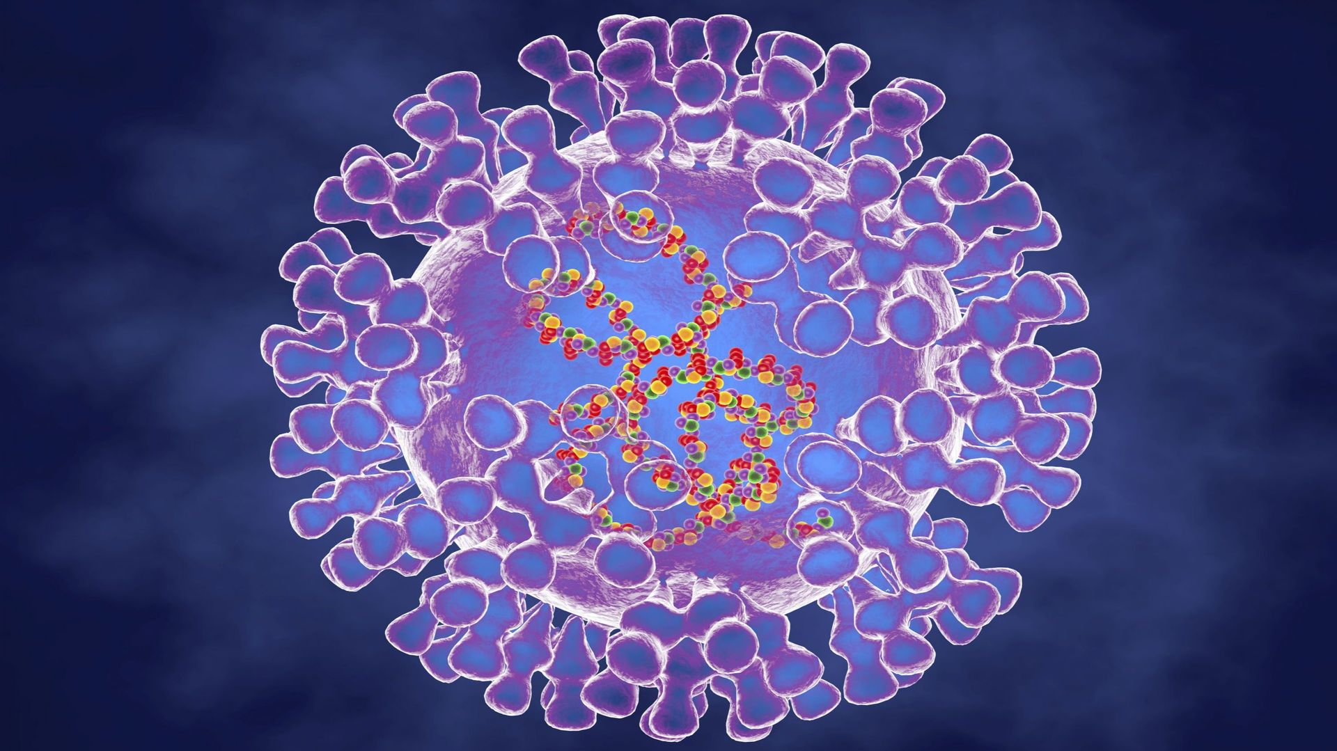 Pox virus, illustration