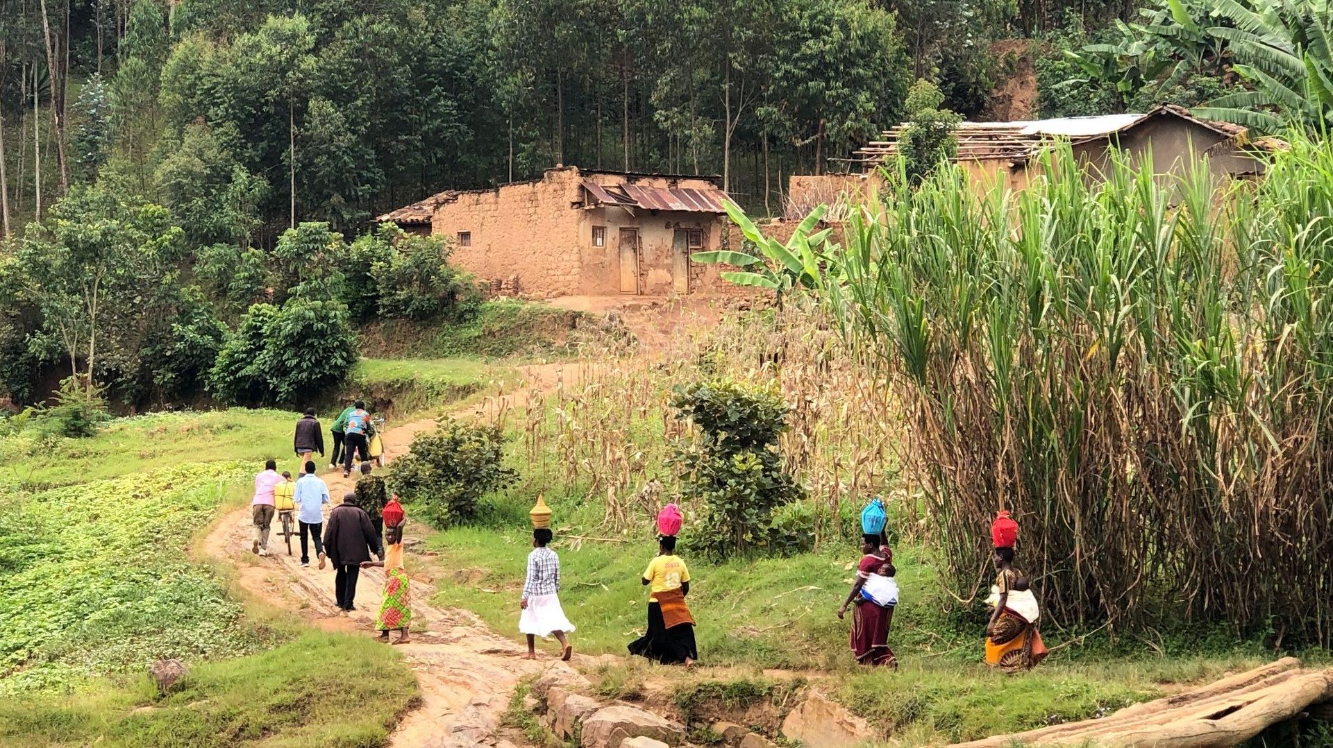 Retour au Rwanda, « Petit pays » de l’Afrique des Grands Lacs