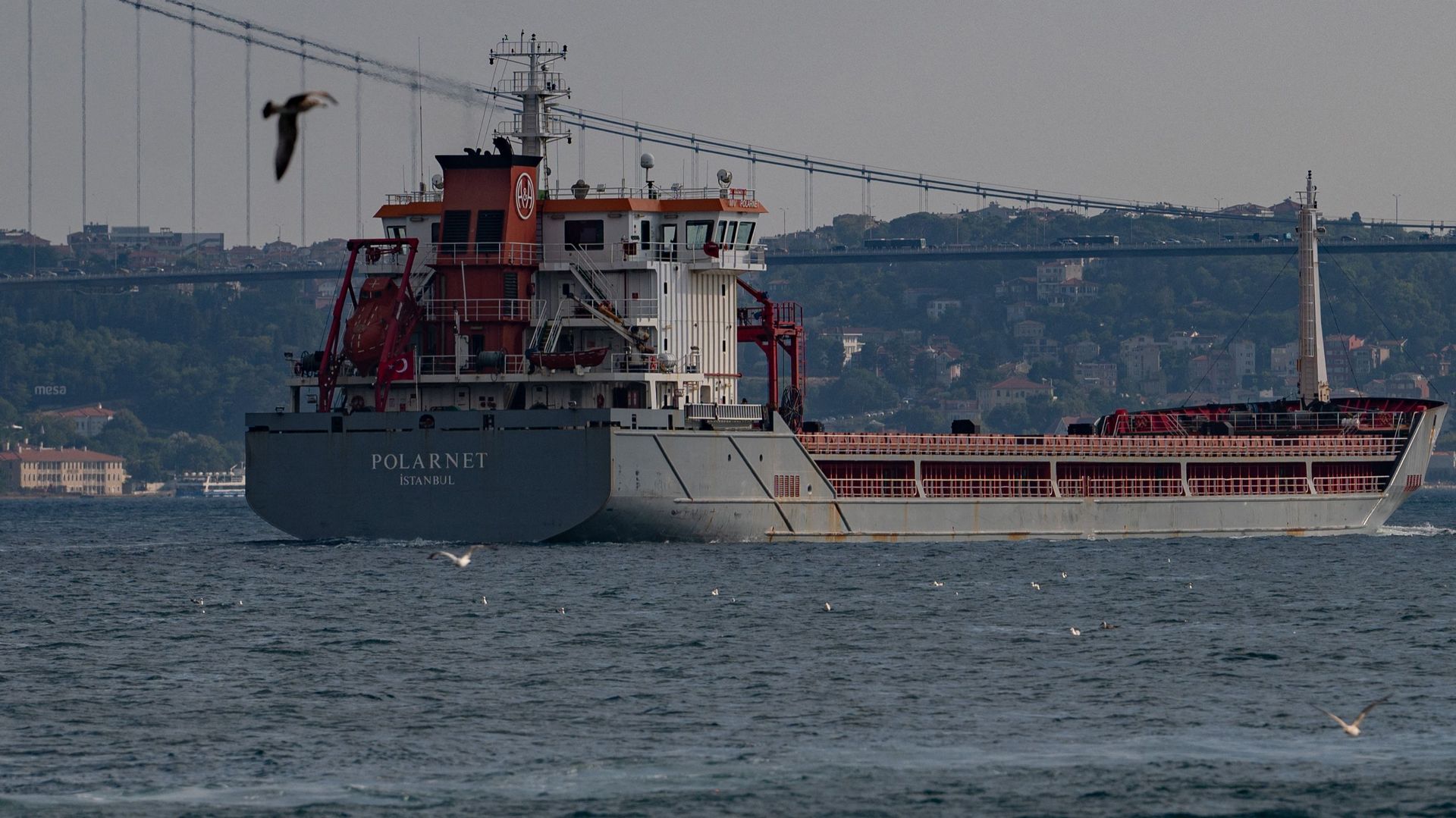 Le navire Polarnet, battant pavillon turc et transportant des tonnes de céréales en provenance d'Ukraine, navigue dans le détroit du Bosphore après Istanbul, le 7 août 2022, après avoir été officiellement inspecté. 