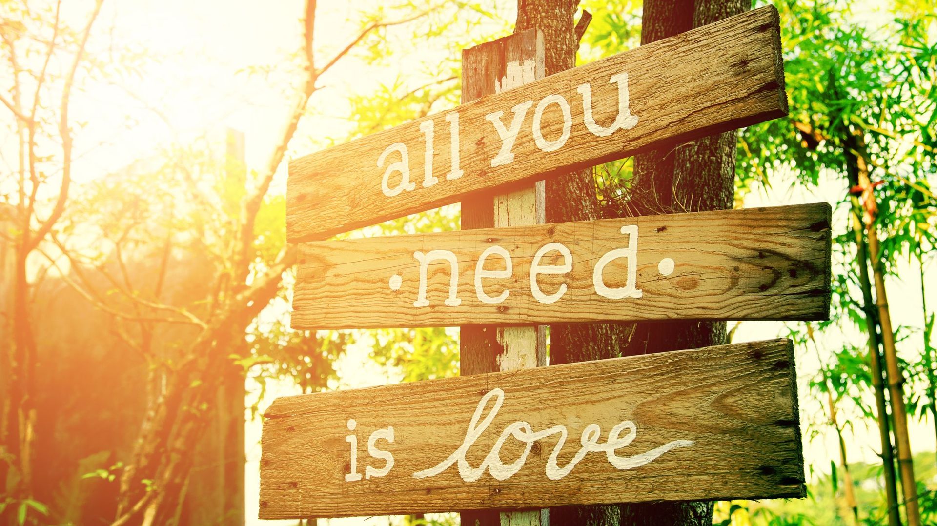 Quelle Citation Sur L Amour Vous Ressemble Rtbf Be