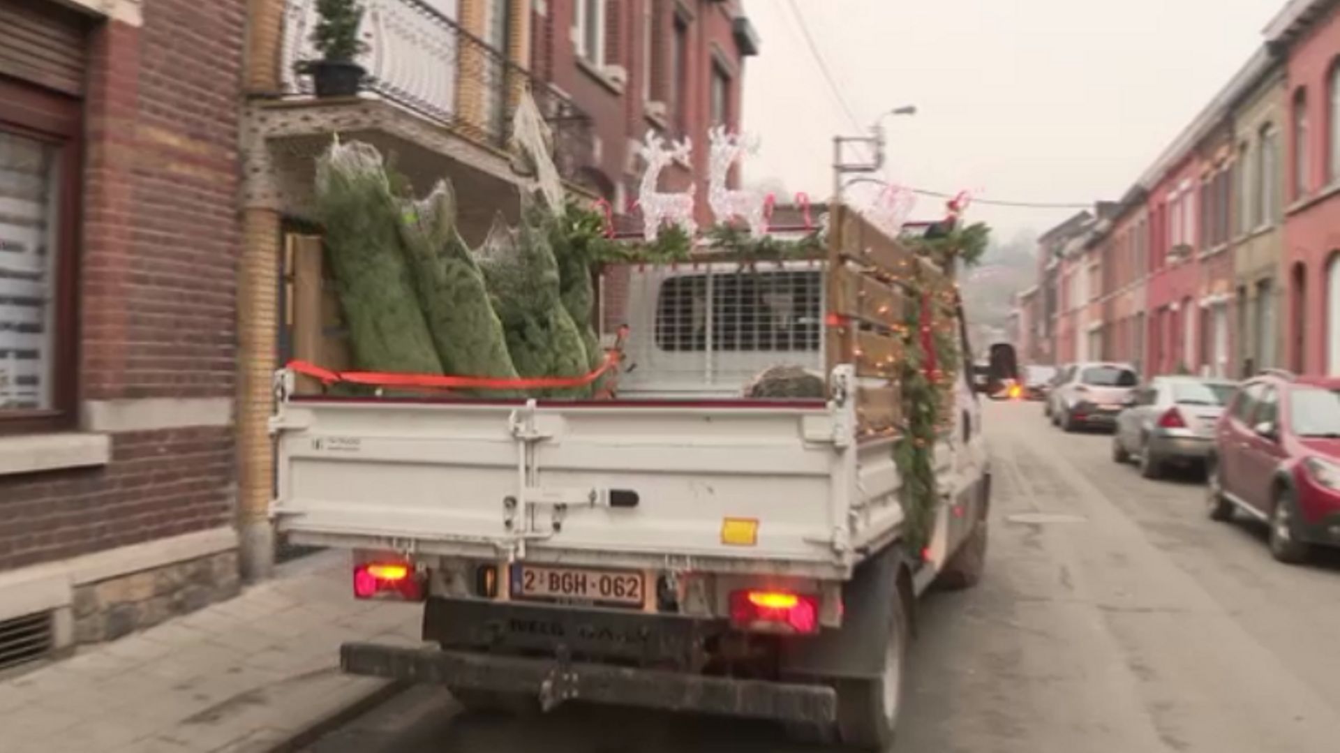Liège: des sapins de Noël livrés à domicile