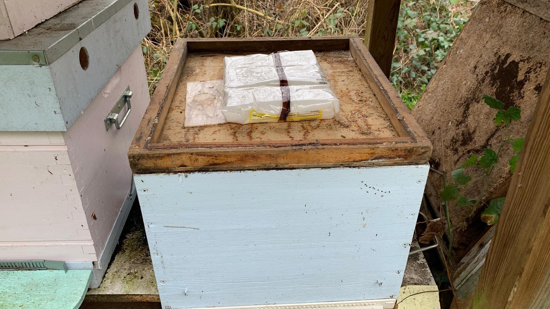 Des paquets de sucre sur une ruche en région bruxelloise, le 20 février 2020.