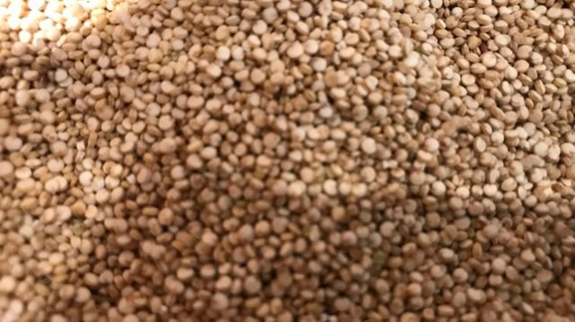 Quinoa bio ou graines de chia bio - chez Lidl Luxembourg