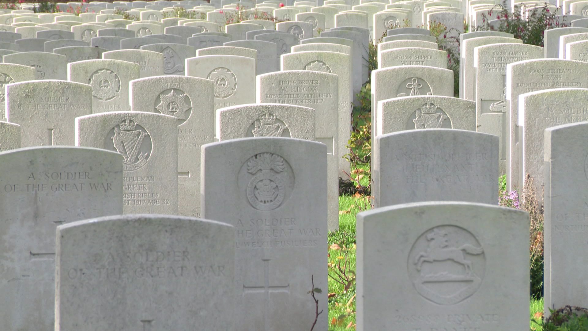 Il comprend 753 tombes de soldats réenterrées avec les honneurs militaires.