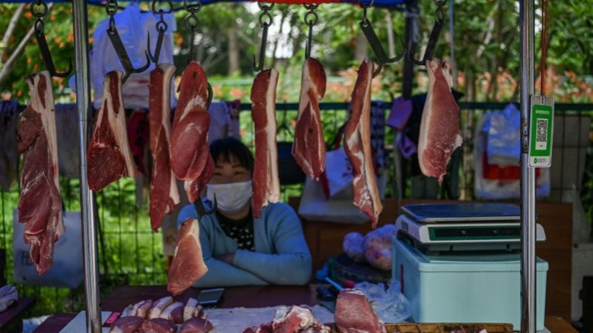 La Chine offre de l’argent aux agriculteurs pour renoncer au commerce d’espèces sauvages