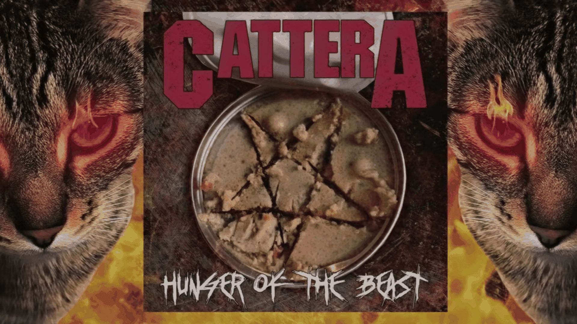 cattera-le-groupe-de-metal-dont-le-chanteur-est-un-chat