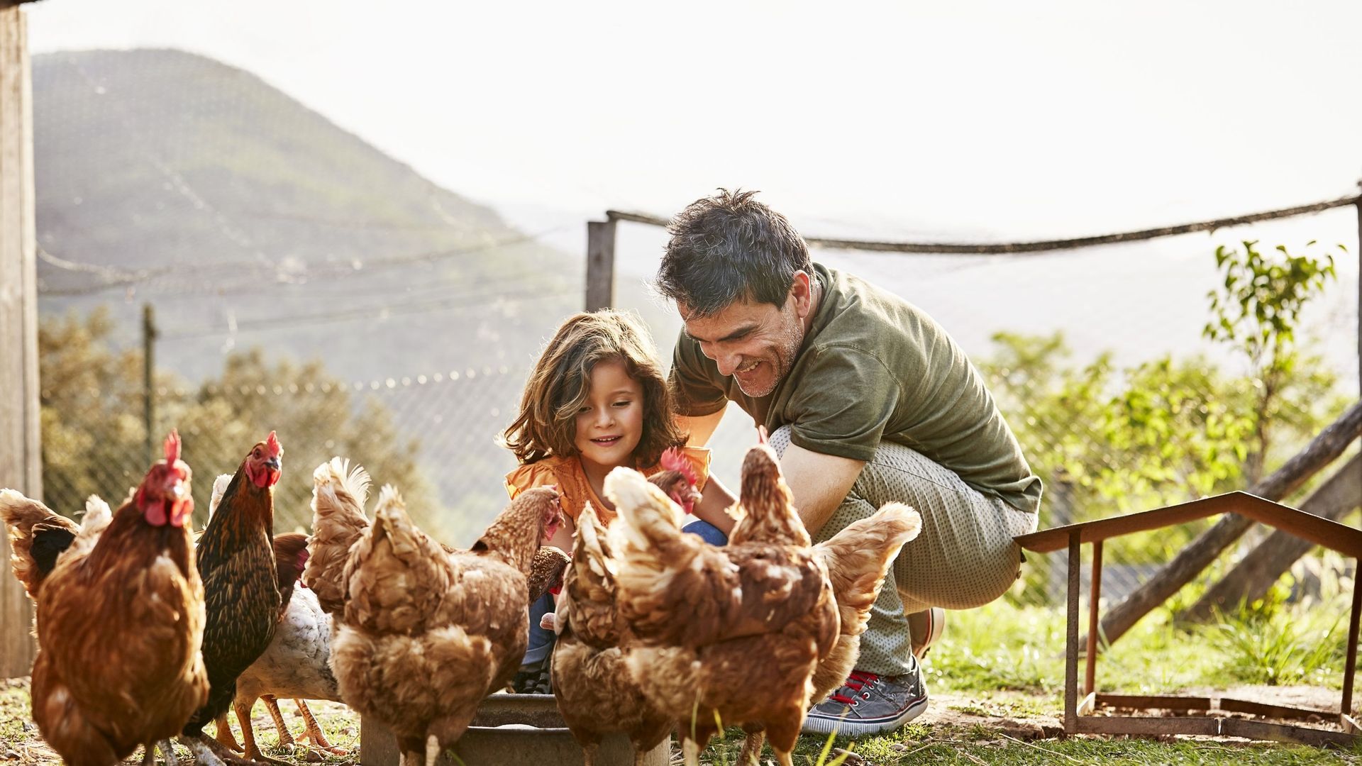 Happy father and daughter feeding hens at farm