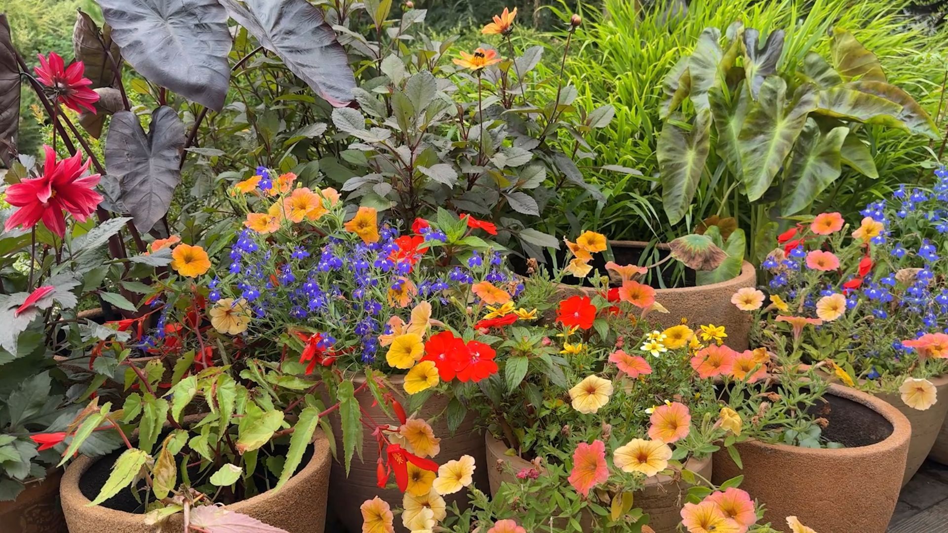 Prolonger l’été avec des pots fleuris : une terrasse éclatante aux portes de l’automne