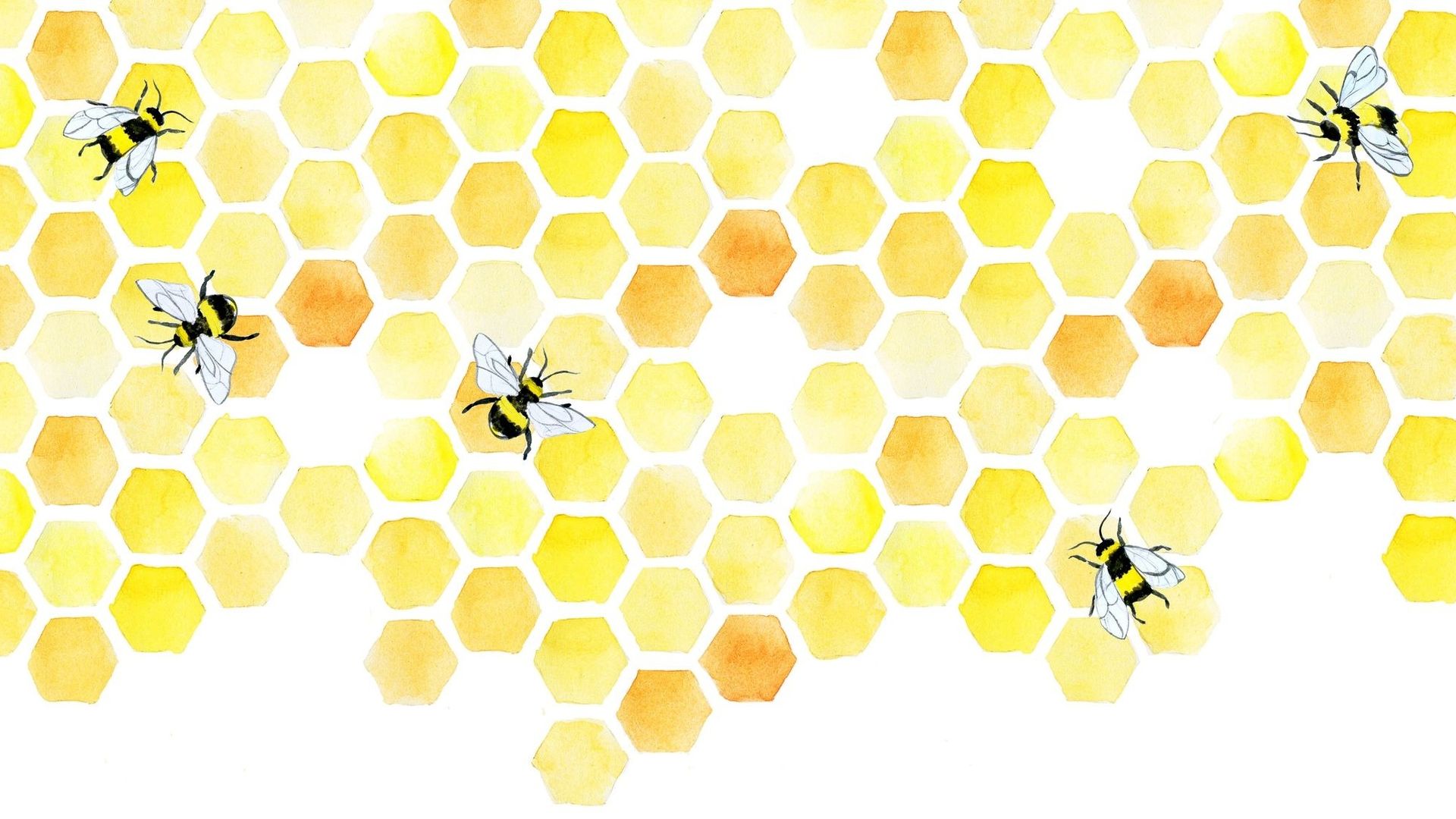 Pourquoi et comment les abeilles font-elles du miel ? 