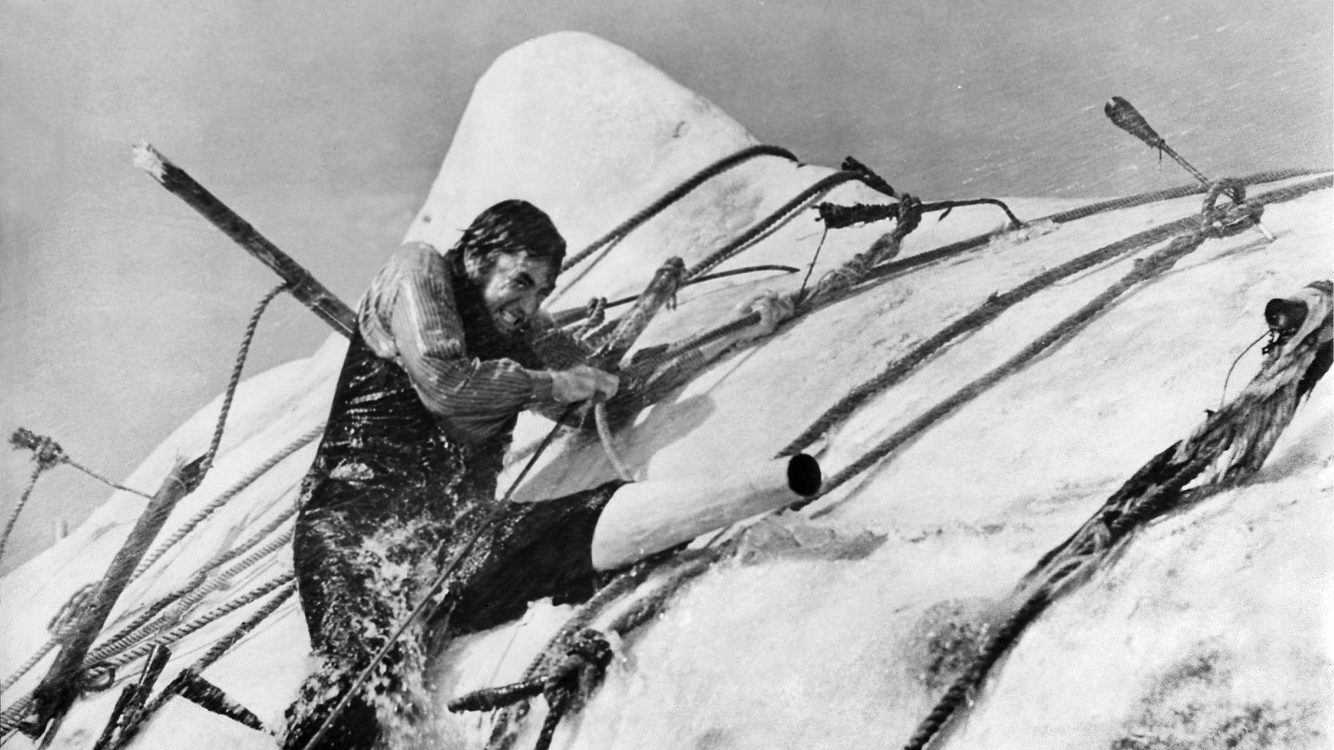 Gregory Peck incarne le capitaine Achab obnibulé par le cachalot blanc “Moby Dick”