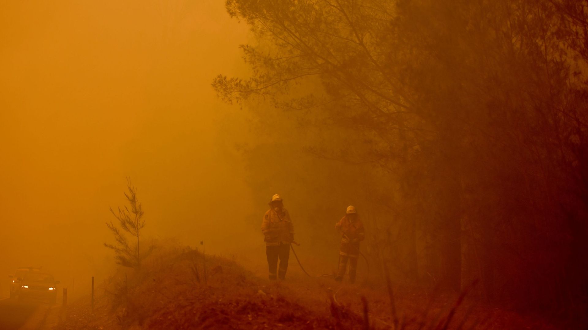 Trois feux de forêt se rejoignent pour former un incendie géant dans le sud-est du pays, ce samedi. 

