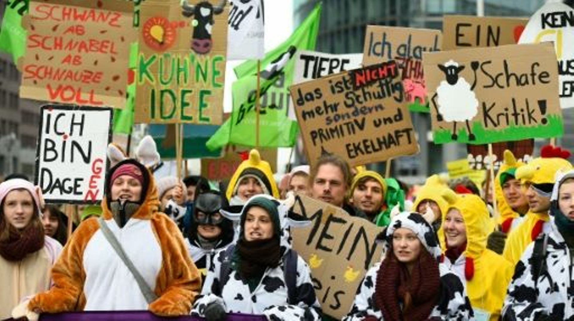 Des manifestants réclament à Berlin une agriculture plus humaine et respectueuse de l'environnement, le 16 janvier 2016