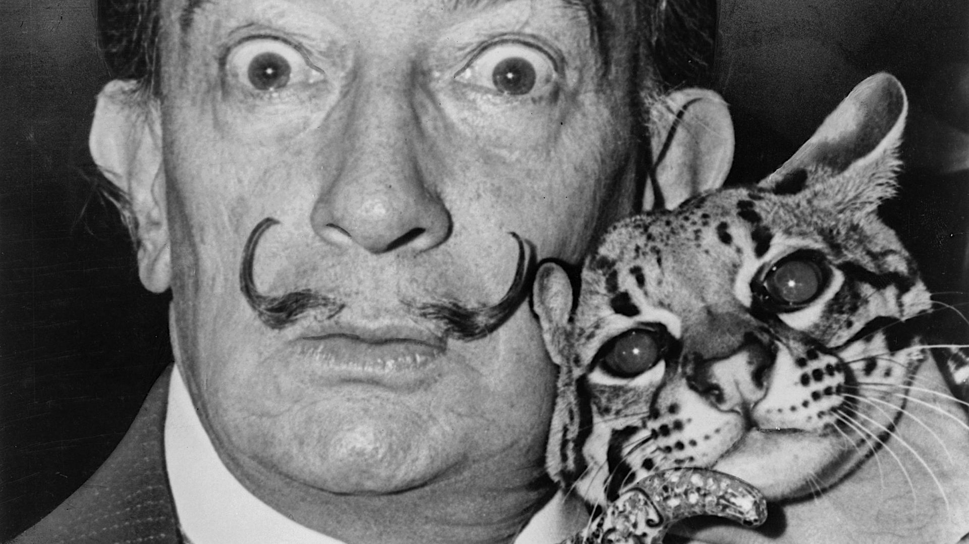 Salvador Dalí et son ocelot Babou.