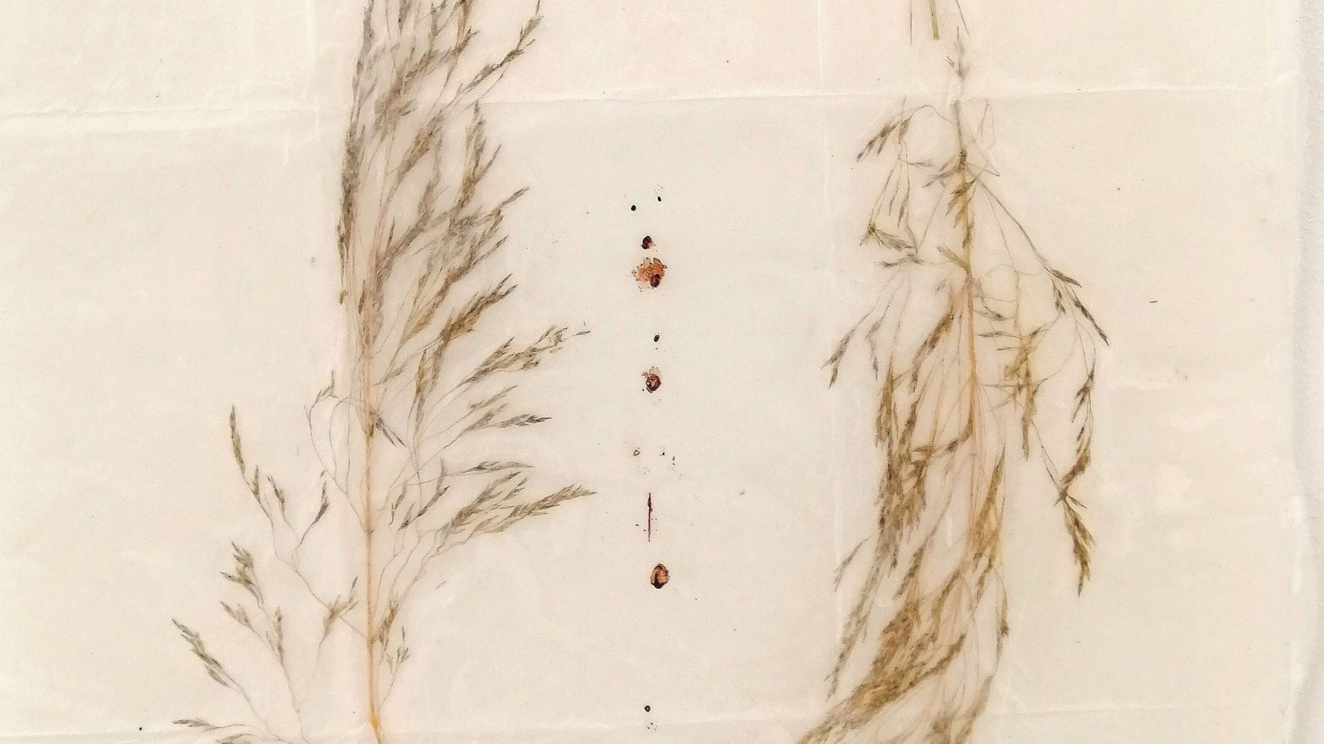 Gregorio Botta, Grande Noli me tangere ( détail), 2019