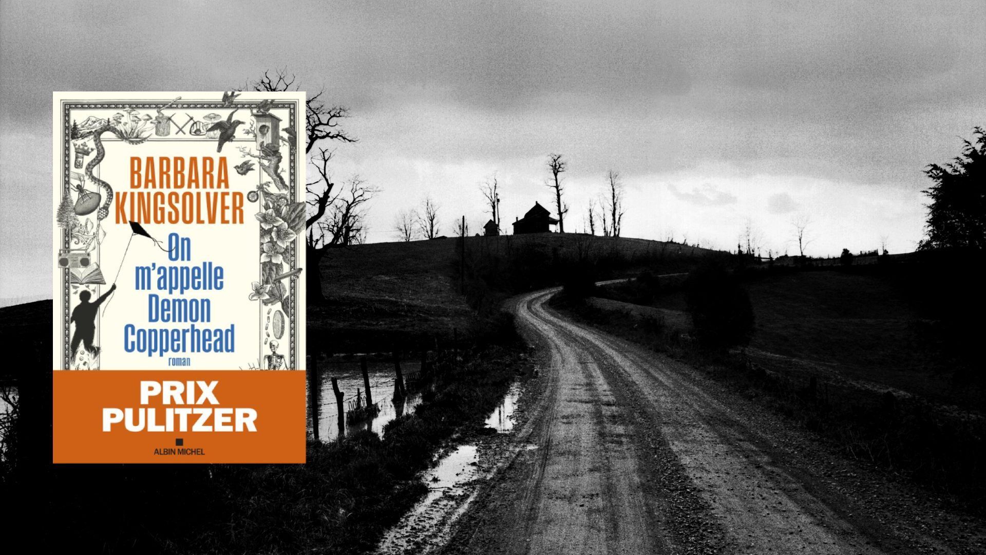 Un État, un roman. Le Maryland 'On m’appelle Demon Copperhead' RTBF