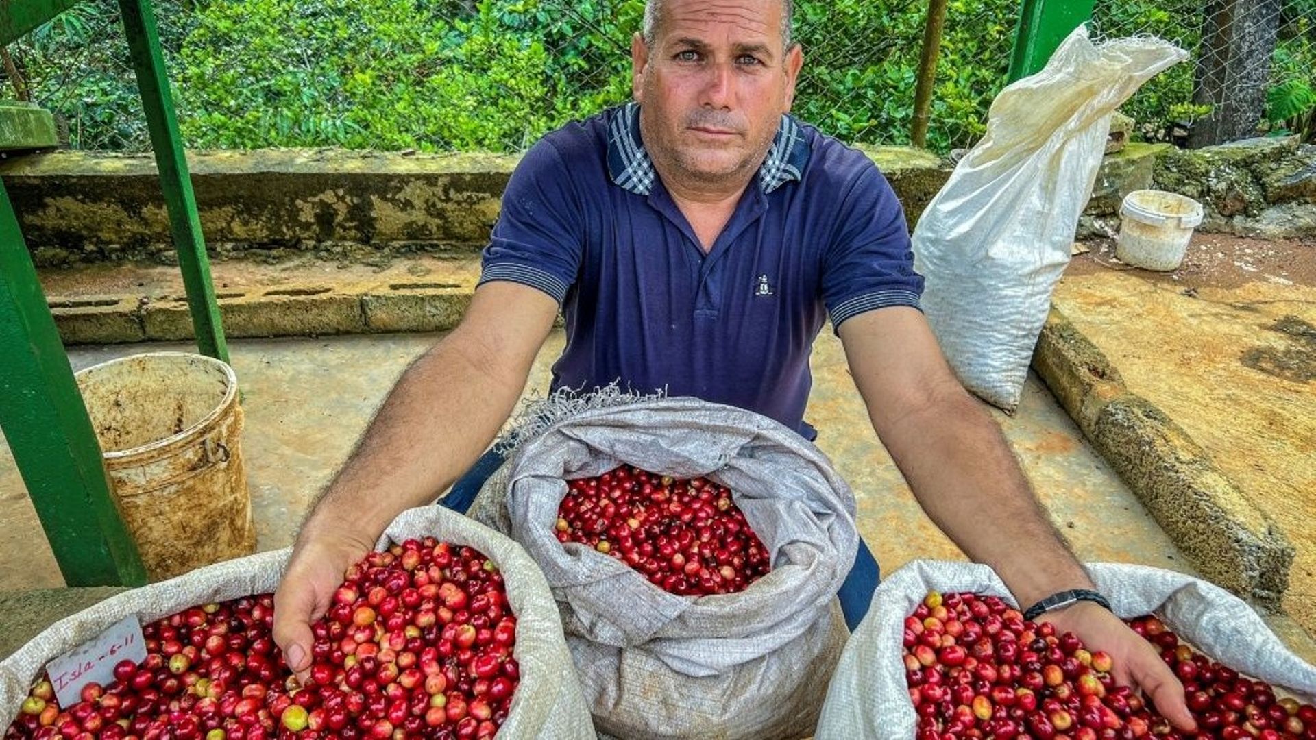 A Cuba, du café haut de gamme pour relancer un secteur en berne.
