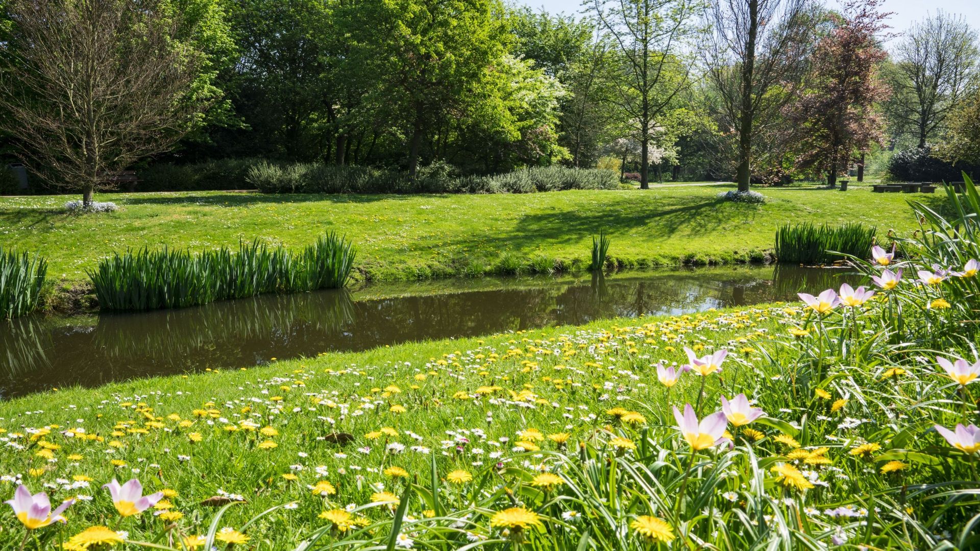 Le voyage Jardins & Loisirs vous fera découvrir du 25 au 30 juin 2023, des jardins privés, des pépinières, des arboretum, des parcs et des villes hollandaises.