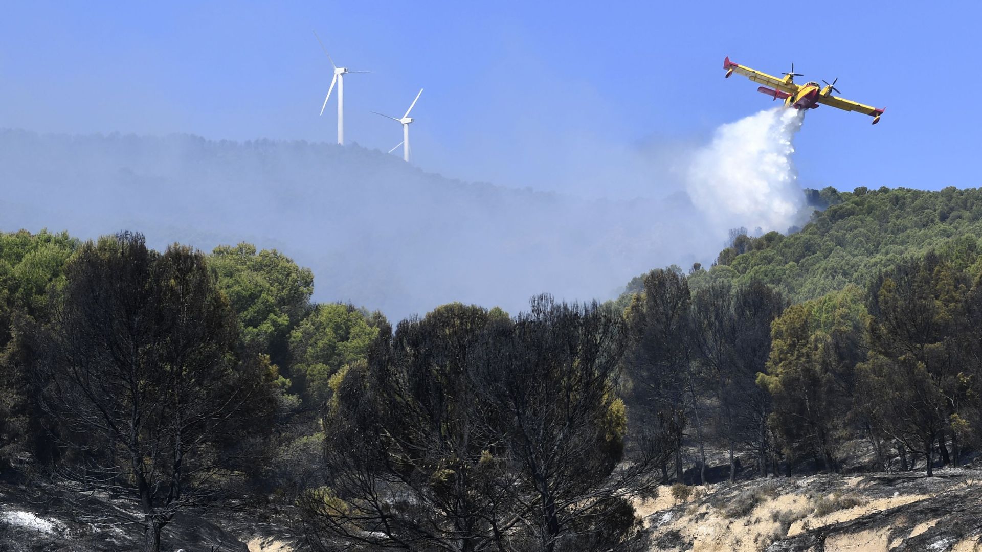 Un avion de pompiers Canadair largue de l'eau pour éteindre un feu de forêt dans le parc naturel de Moncayo, près du village de Borja, dans la région nord de l'Aragon, le 15 août 2022. 