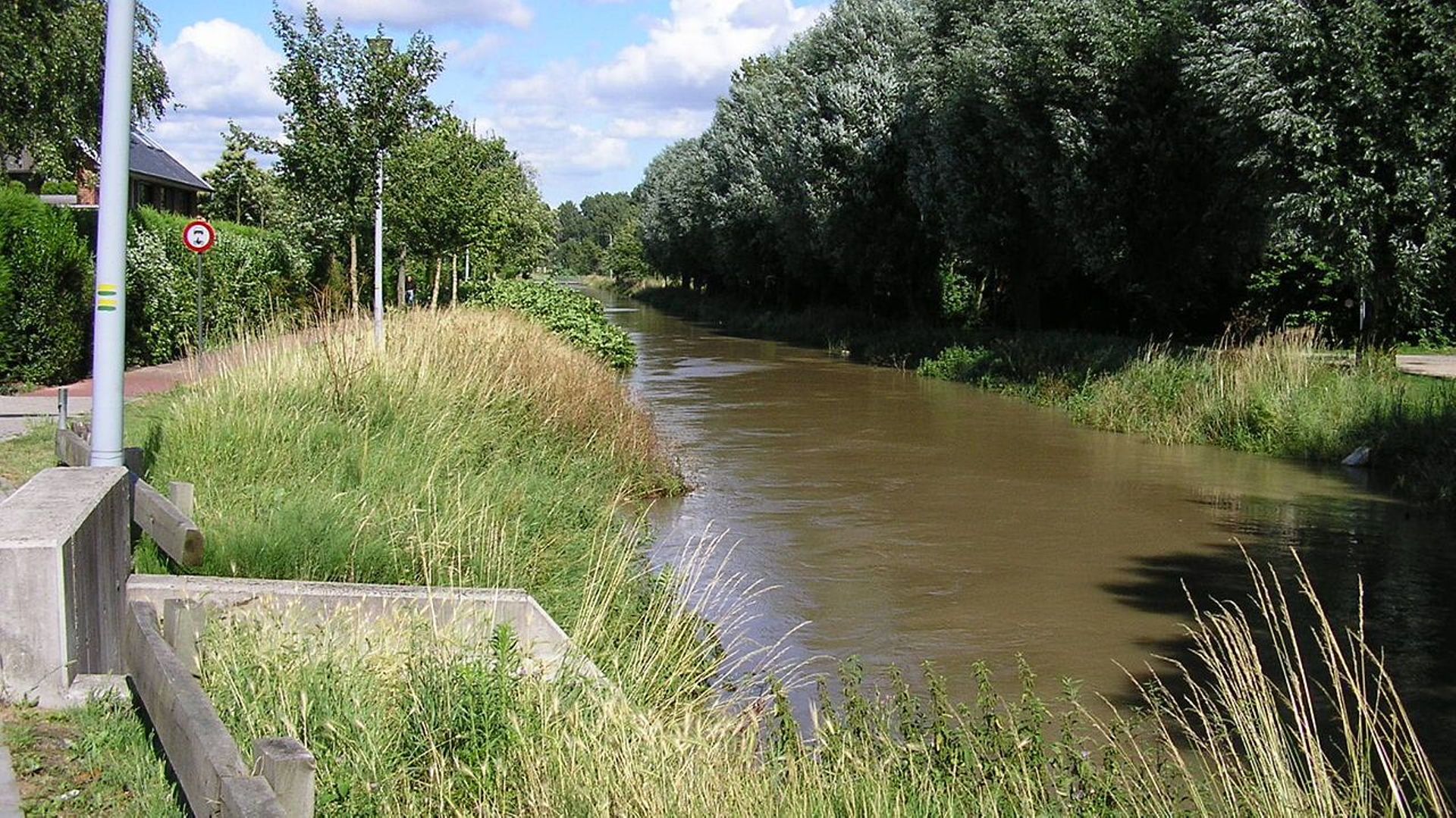 Le cours d'eau "le plus pollué d'Europe" coule en Flandre, selon Greenpeace
