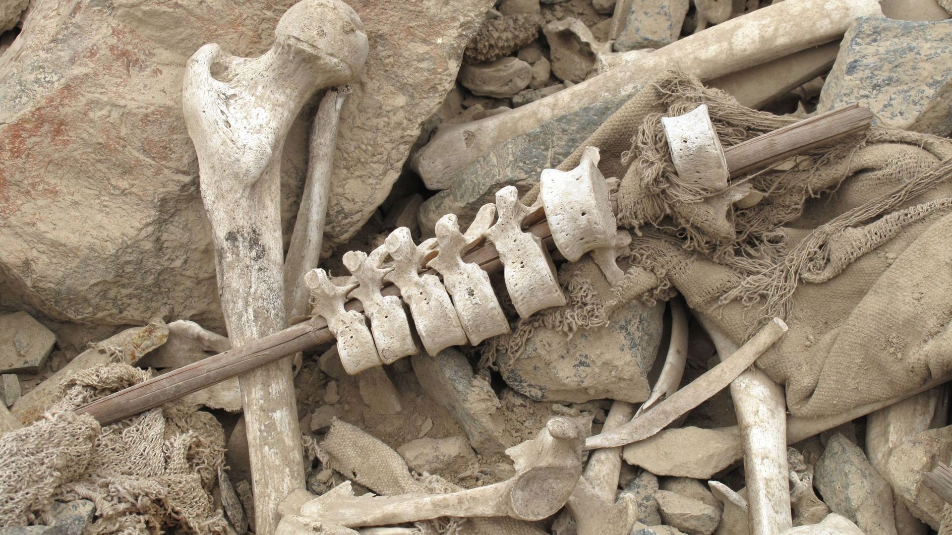 L’une des étranges "brochettes" de vertèbres retrouvée dans une tombe.