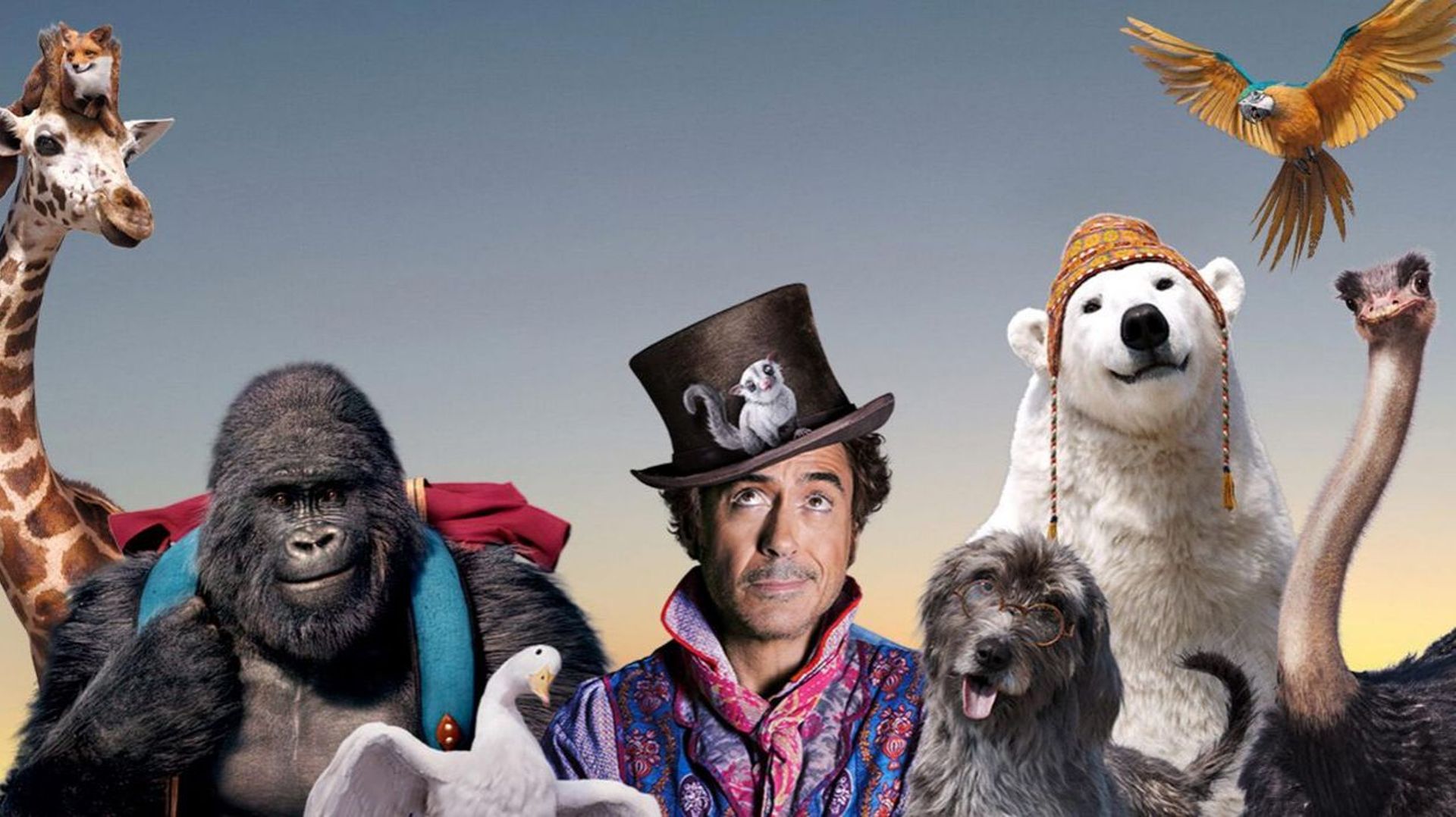 Le voyage du Dr Dolittle… embarquement immédiat - RTBF Actus