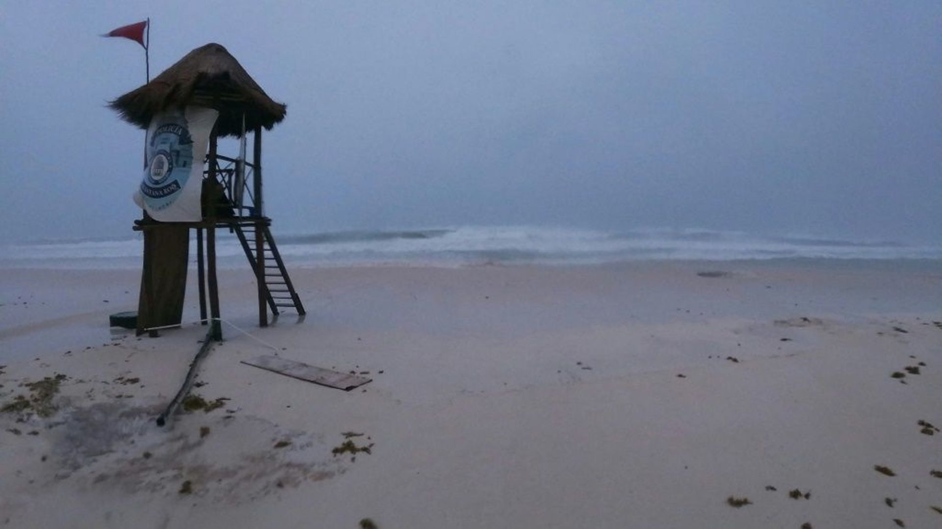 México: El huracán Grace, degradado a tormenta tropical, golpea la costa este del país