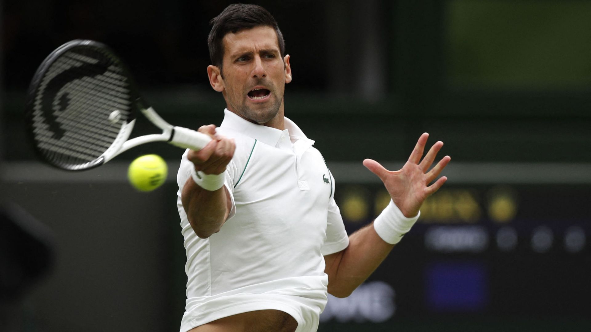 Wimbledon : Novak Djokovic