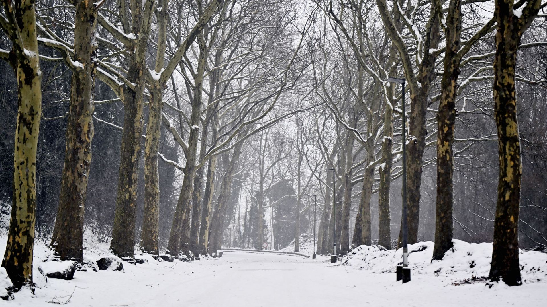 Météo froide en Belgique : pourquoi le Jet-stream joue-t-il un rôle majeur ?