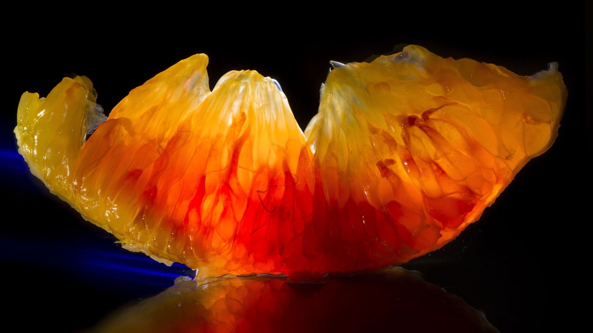 Tranche d'orange sanguine pelée à vif.