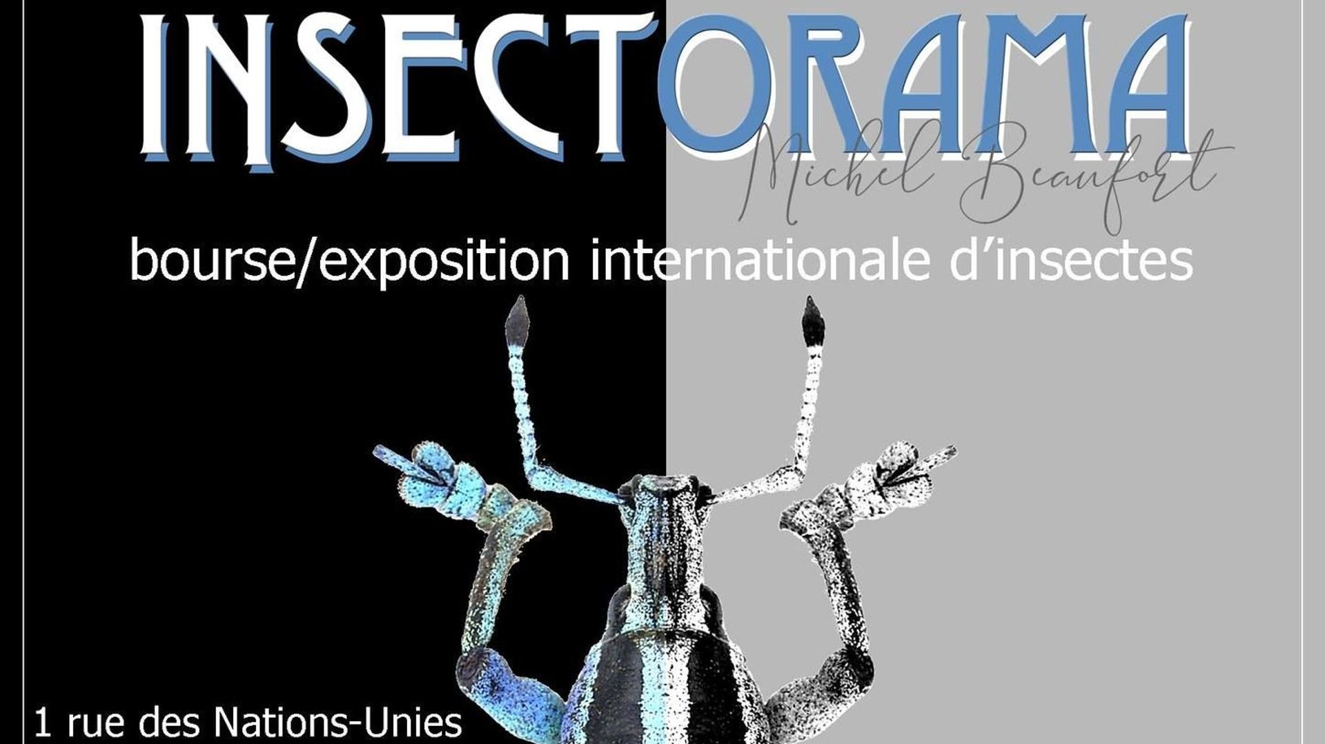 Insectorama à Seraing