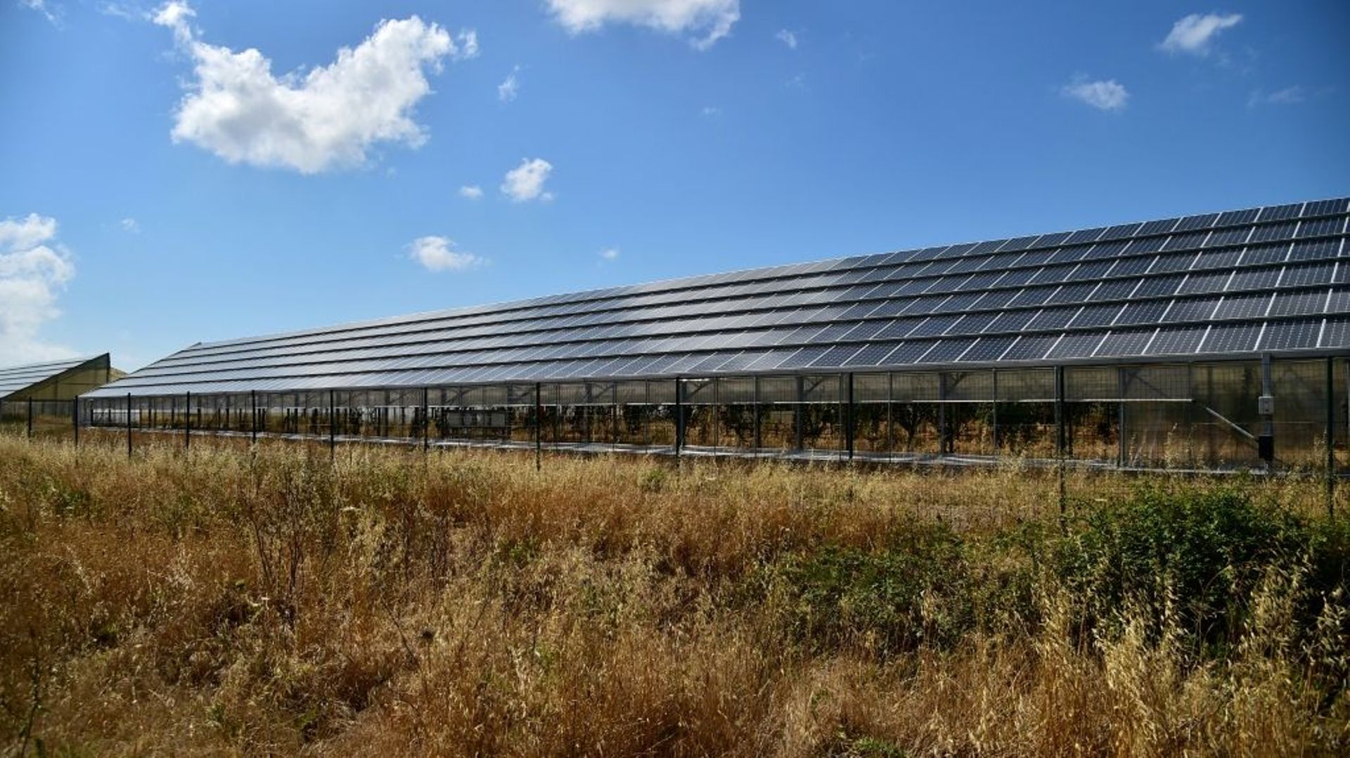 Des panneaux solaires déployés à Oristano, en Sardaigne, le 15 juin 2015