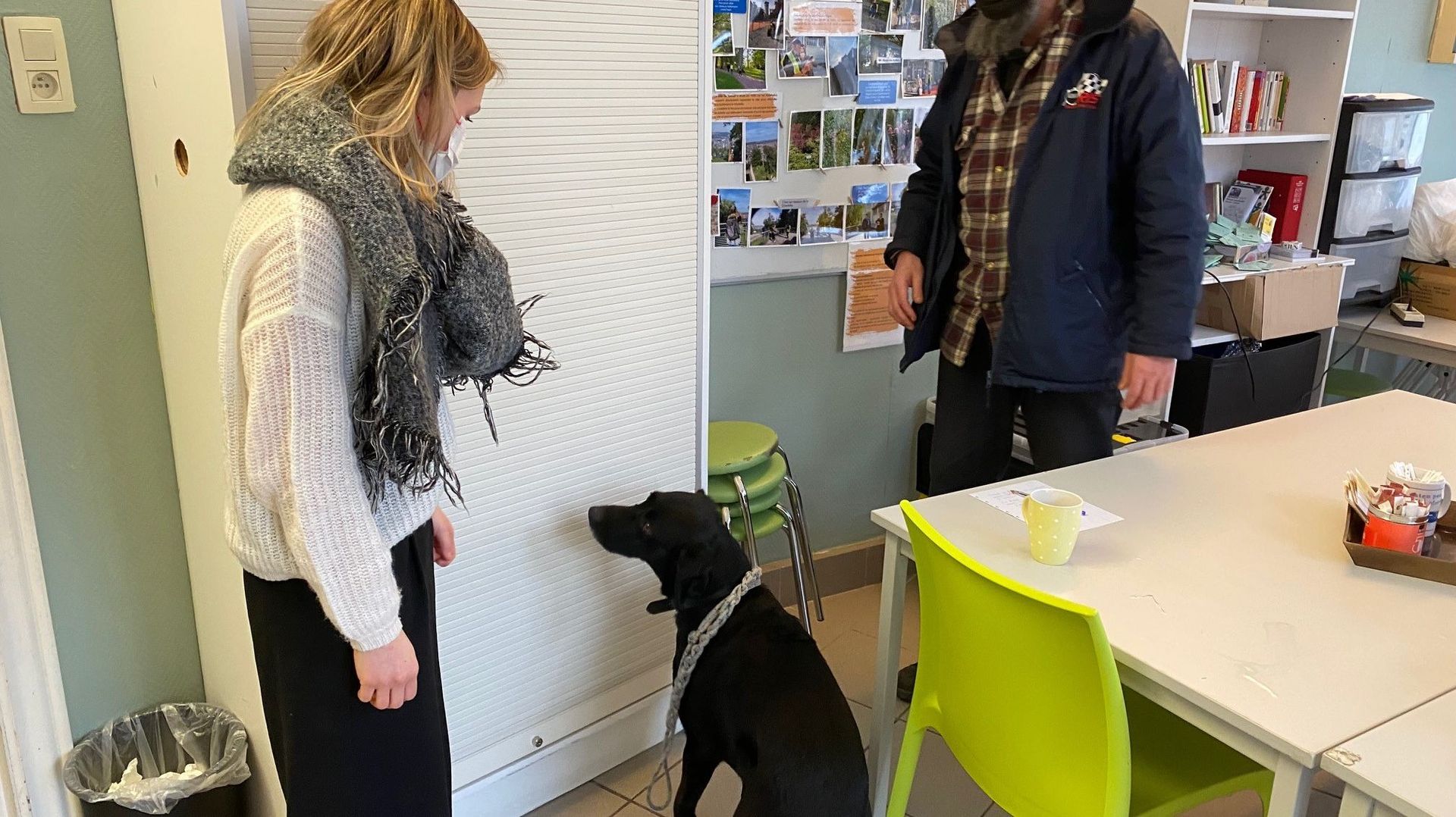 Le Relais Santé de Namur a reçu une aide régionale  pour renforcer sa permanence vétérinaire destinée aux animaux des sans-abri.