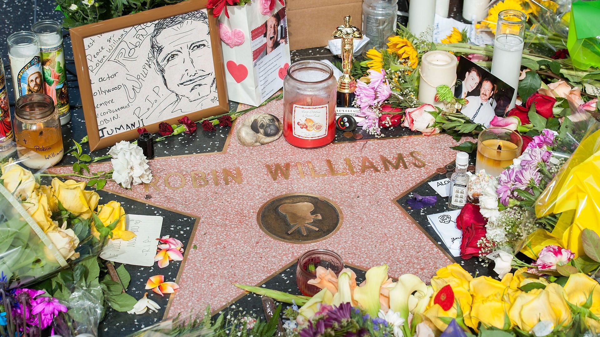 L'étoile de Robin Willliams sur le "Walk of Fame", à Hollywood