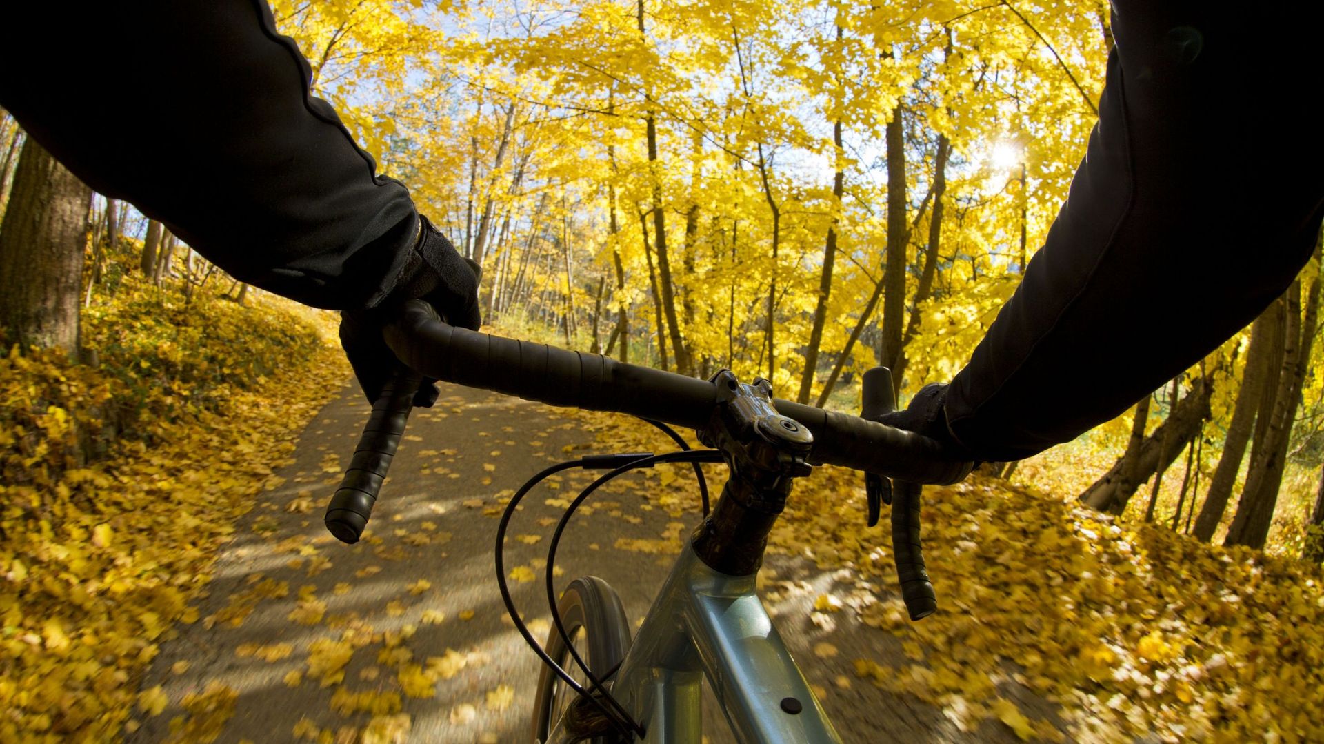 Cyclist riding in forest in autumn