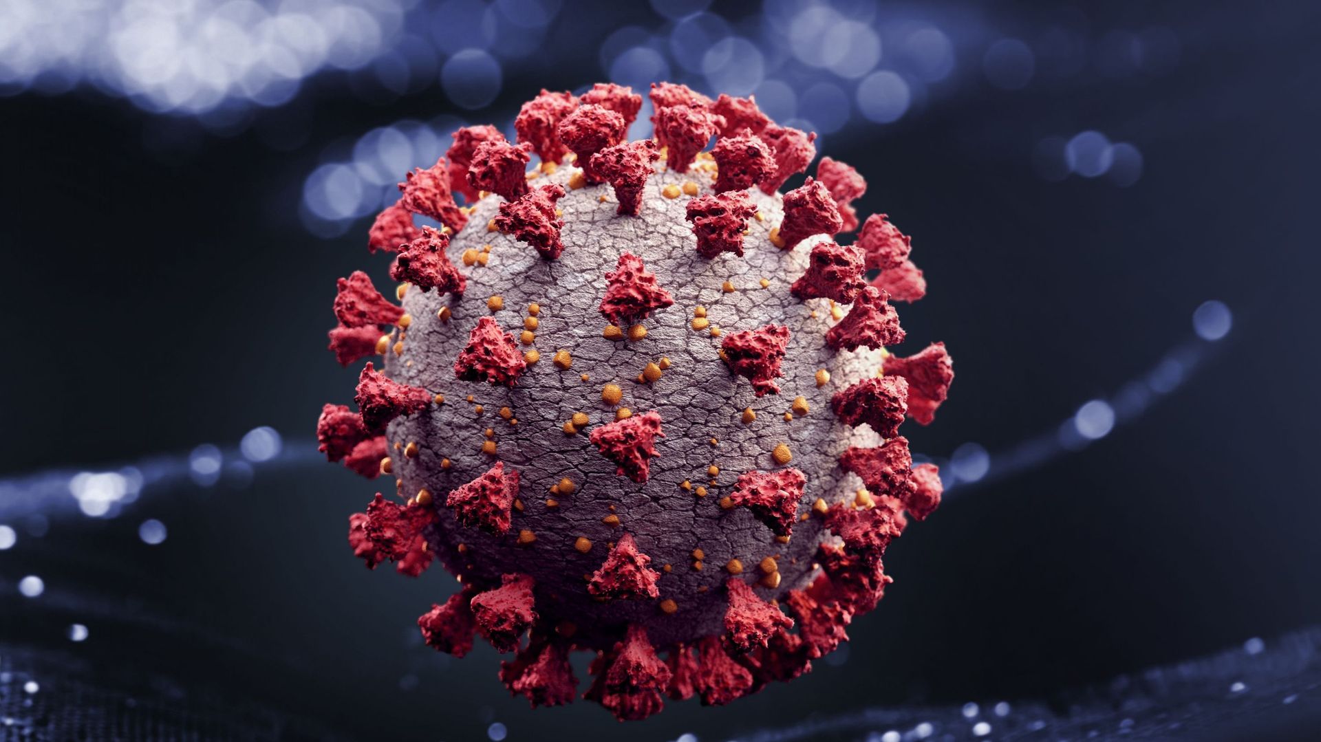 L’immunité au coronavirus, qu’elle soit acquise par la vaccination ou par l’infection, ne protège pas totalement ni pour toujours.