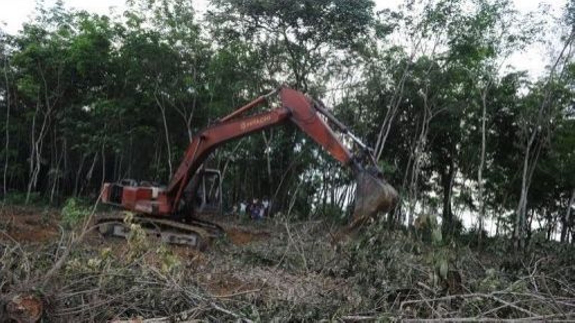 Des engins défrichent le site d'une future plantation de palmiers à huile, à Langkat, sur l'île de Sumatra, le 10 avril 2013