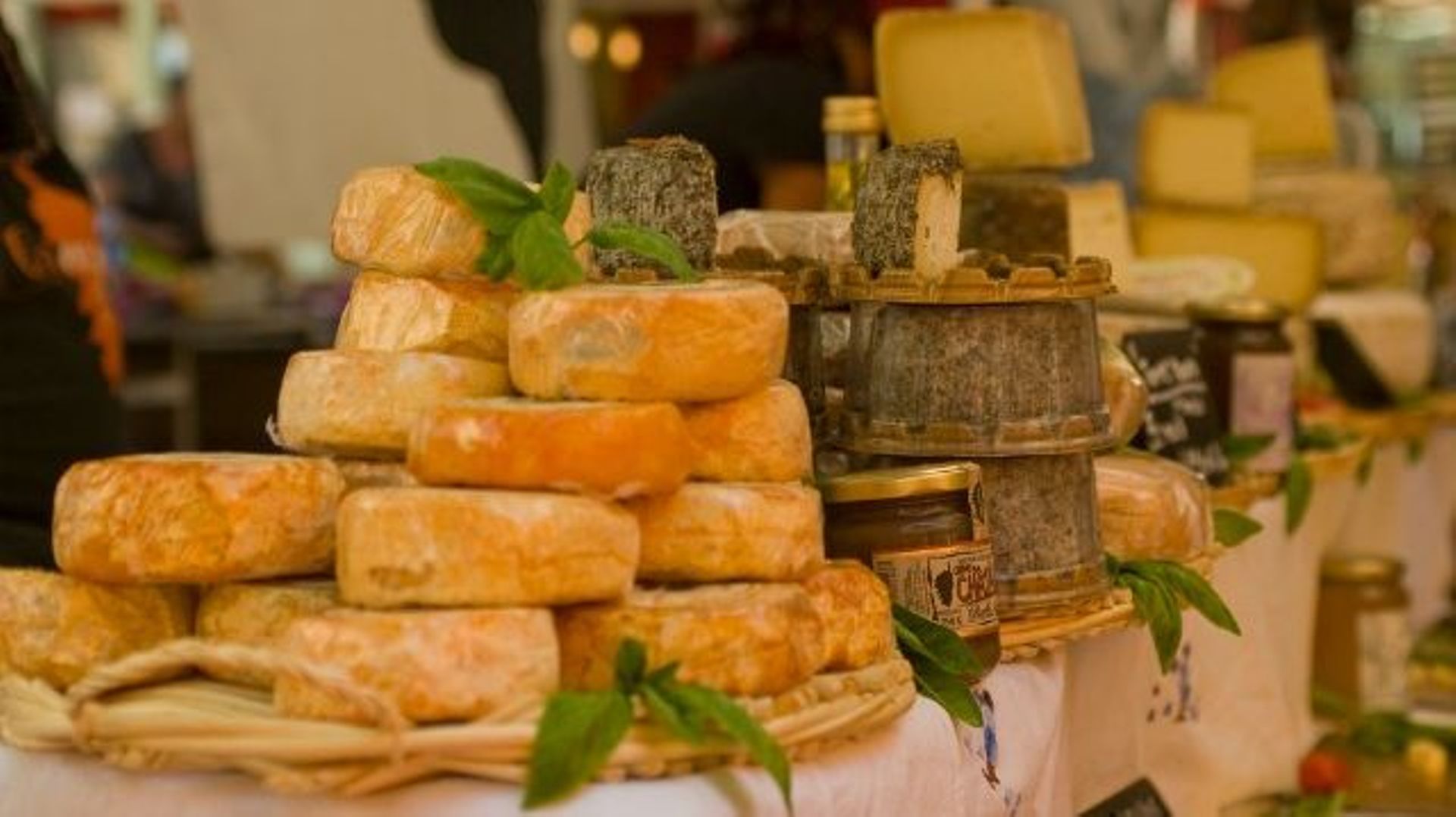 Les Curieux du Matin - Les fromages qui puent