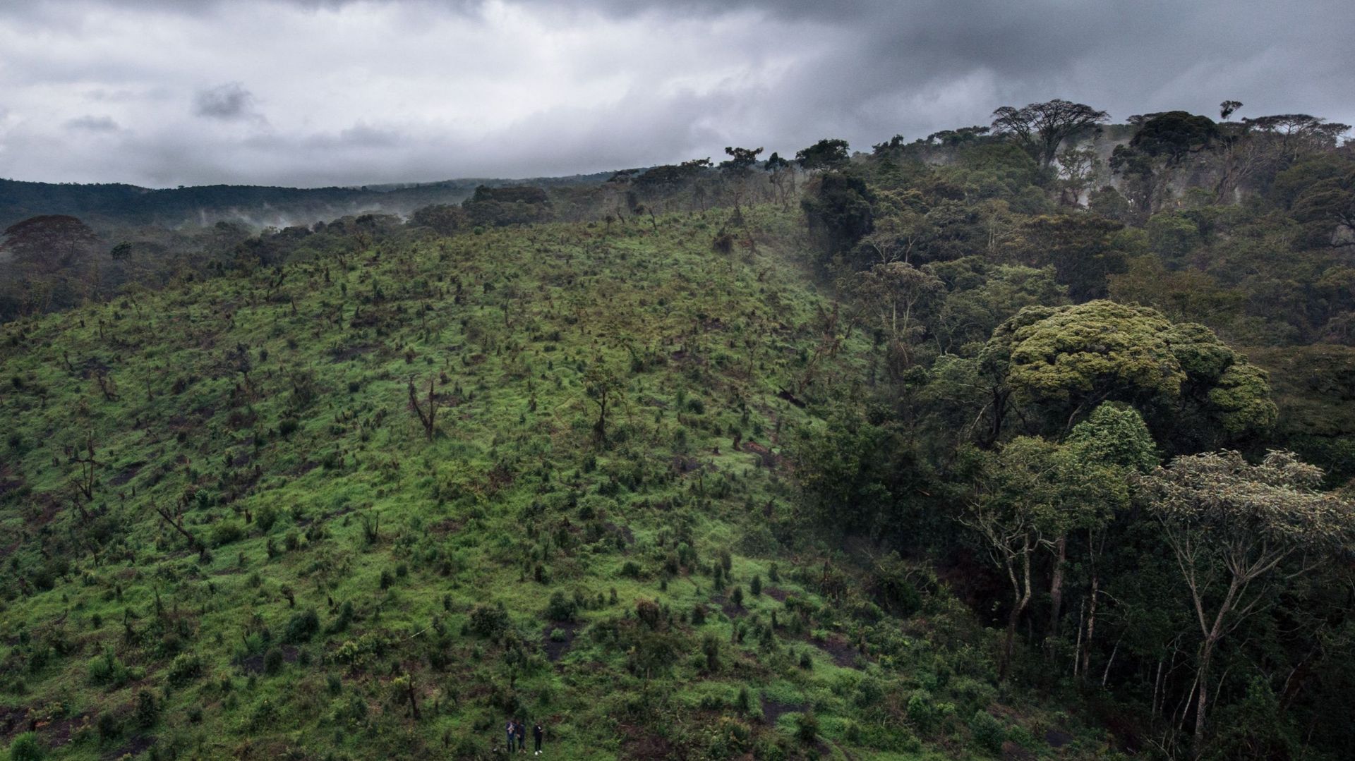 Cette photographie aérienne, prise le 30 septembre 2019 dans le parc national de Kahuzi-Biega, au nord-est de la République démocratique du Congo, montre une zone dévastée par l'exploitation forestière