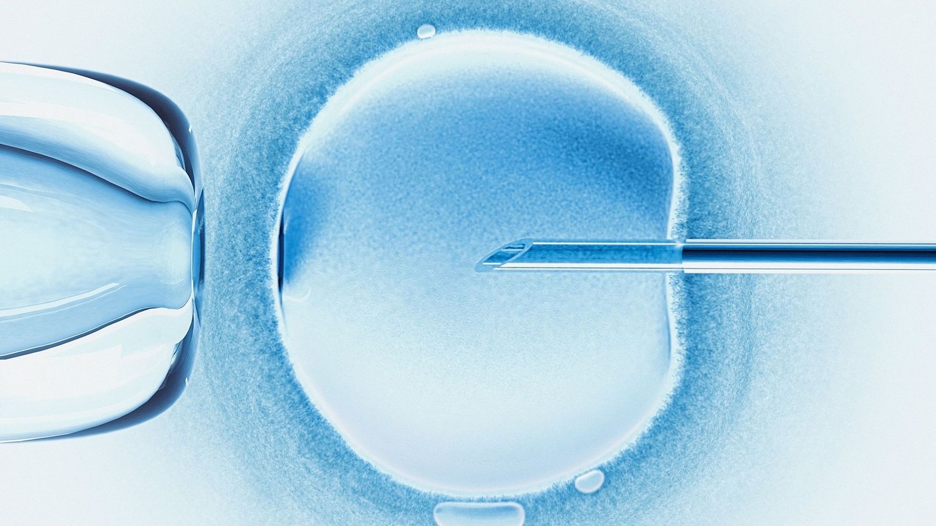 Le sperme d’un conjoint décédé pourra bientôt être utilisé jusqu’à 10 ans après la mort de celui-ci pour réaliser une insémination.