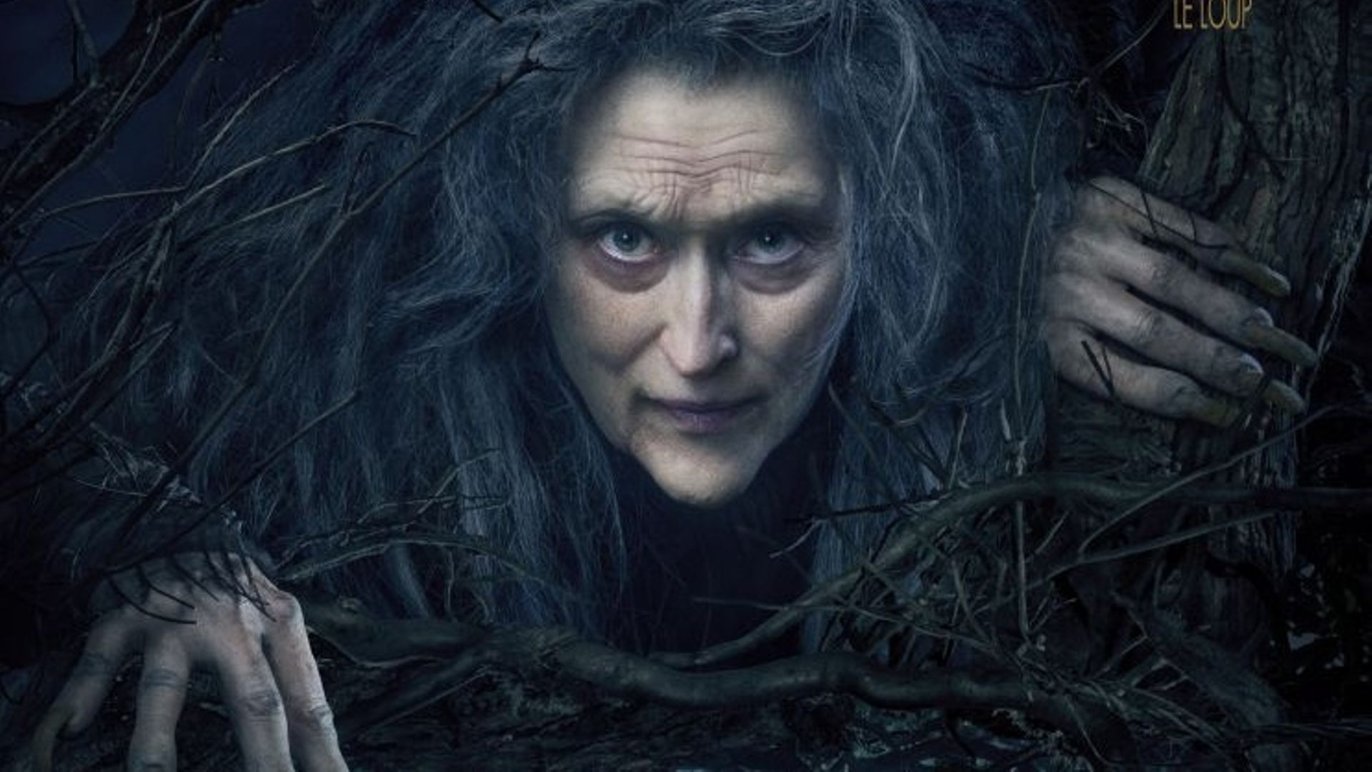 Le premier poster d'"Into The Woods - Promenons-nous dans les bois" se concentre sur le personnage de Meryl Streep, une sorcière maléfique