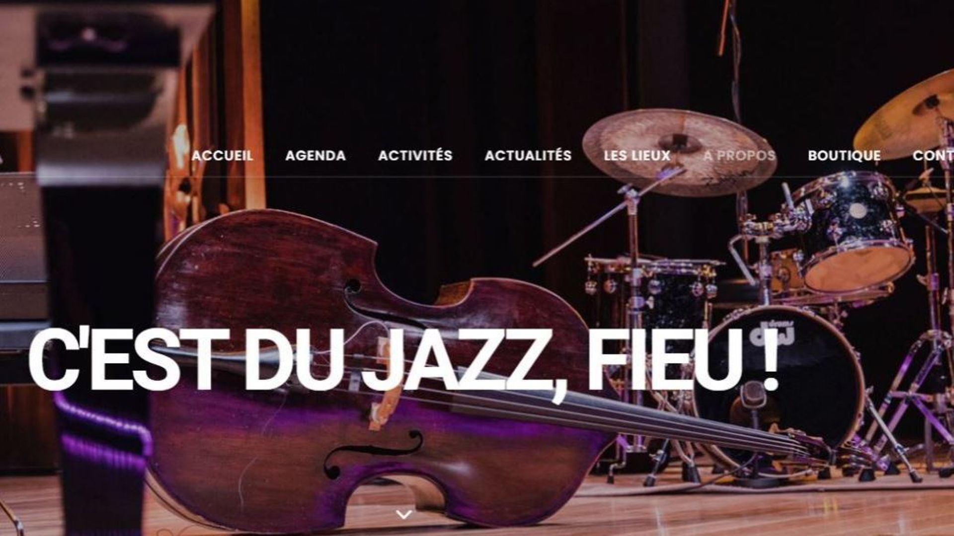 L'agenda de tous les concerts jazz en Belgique grâce à "Jazz In Belgium"
