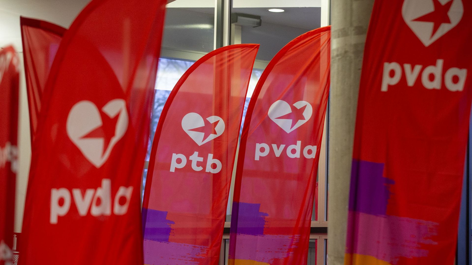 Logos PTB-PVDA en décembre 2021 