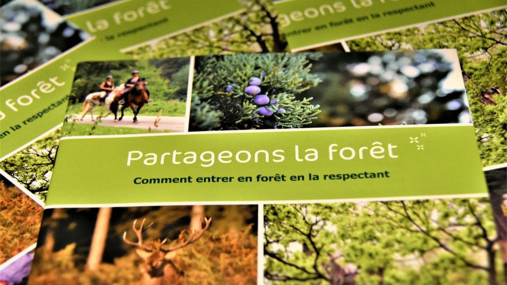 "Partageons la forêt", la brochure disponible dans les offices du tourisme